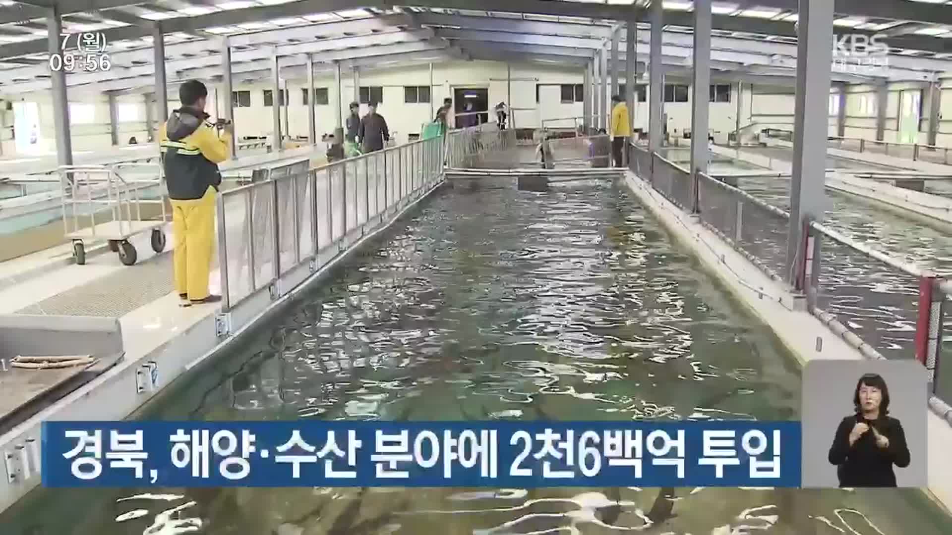 경북, 해양·수산 분야에 2,600억 투입