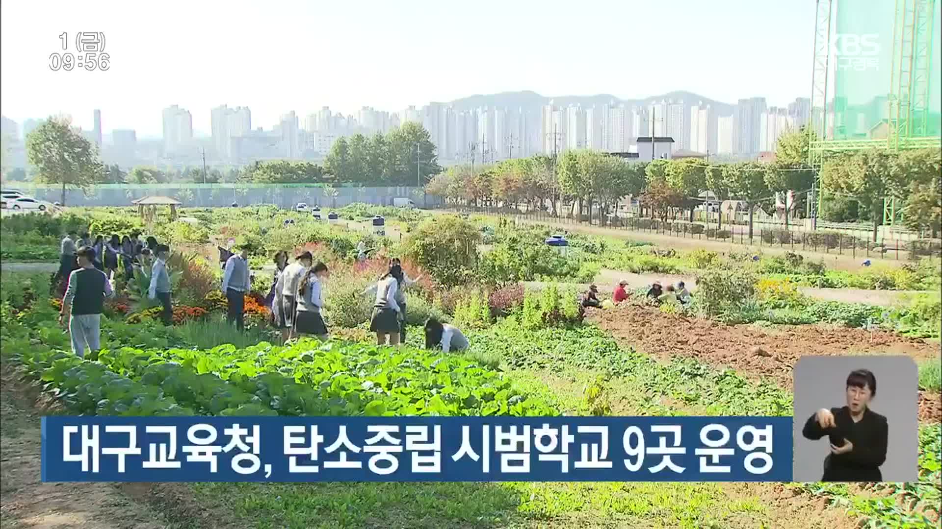 대구교육청, 탄소중립 시범학교 9곳 운영