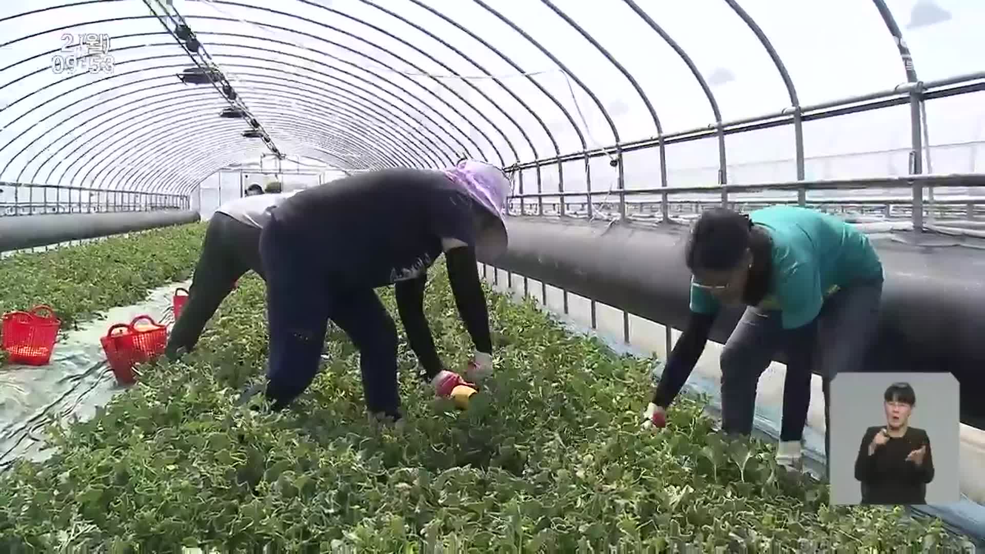 농촌 외국인 인력 지원 시군별 ‘온도차’