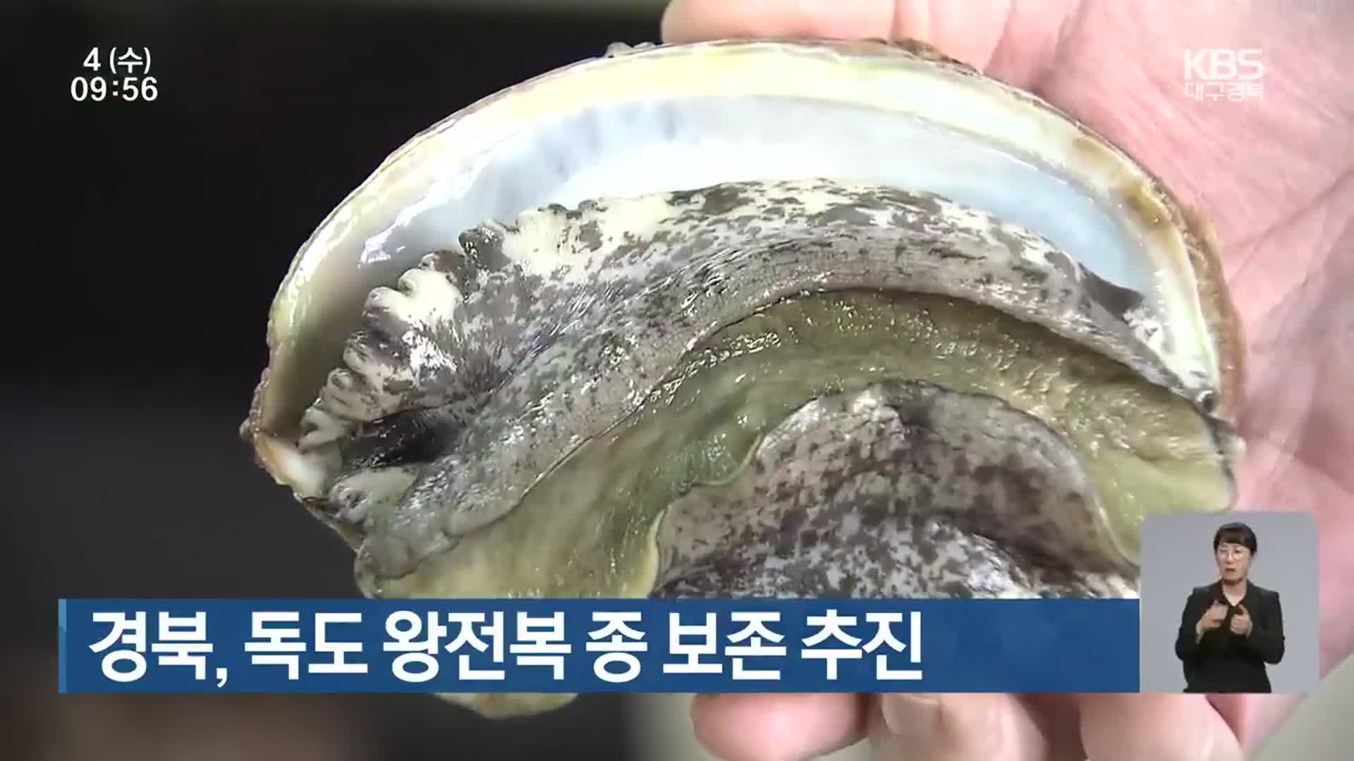 경북, 독도 왕전복 종 보존 추진