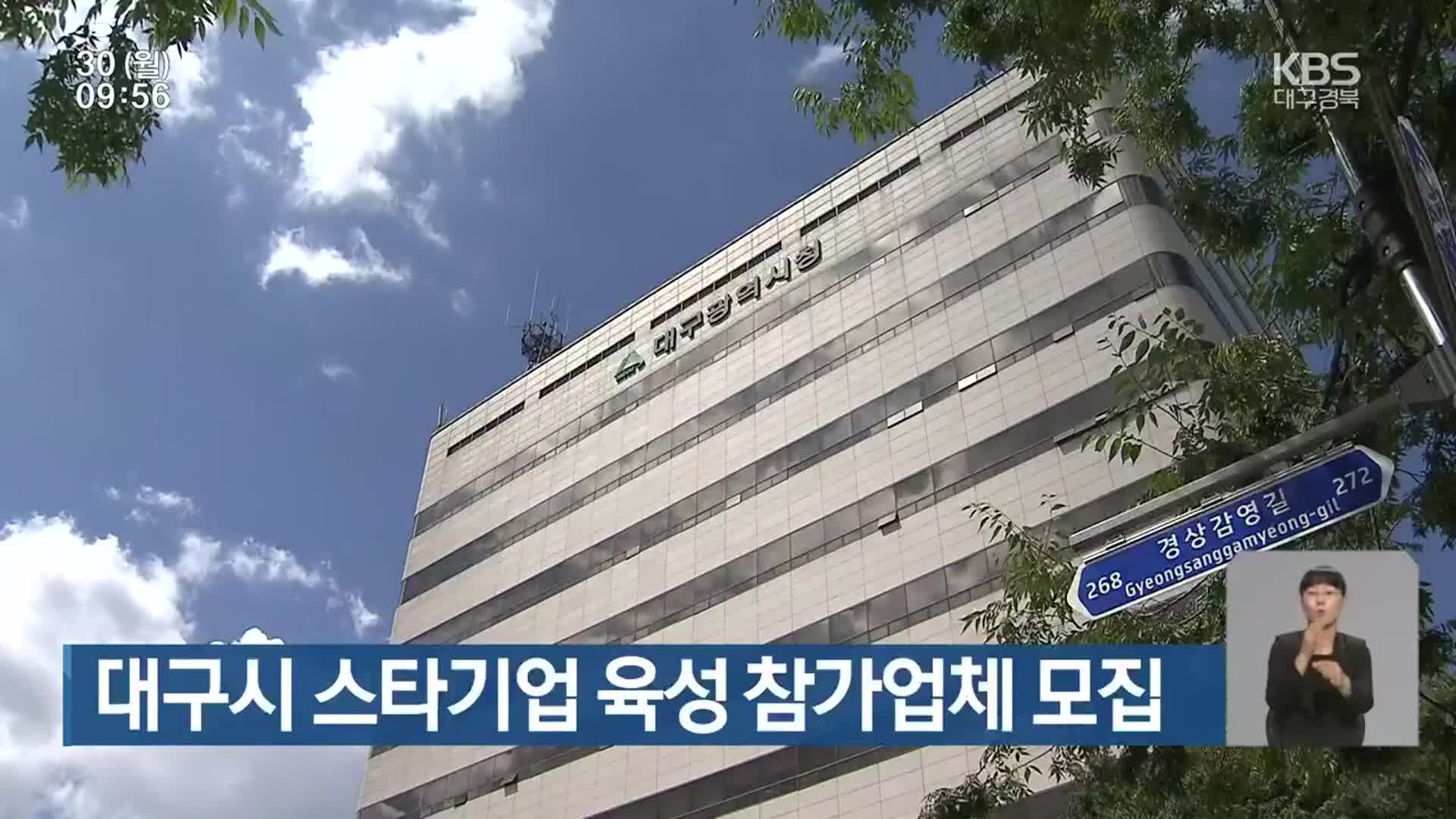 대구시 스타기업 육성 참가업체 모집