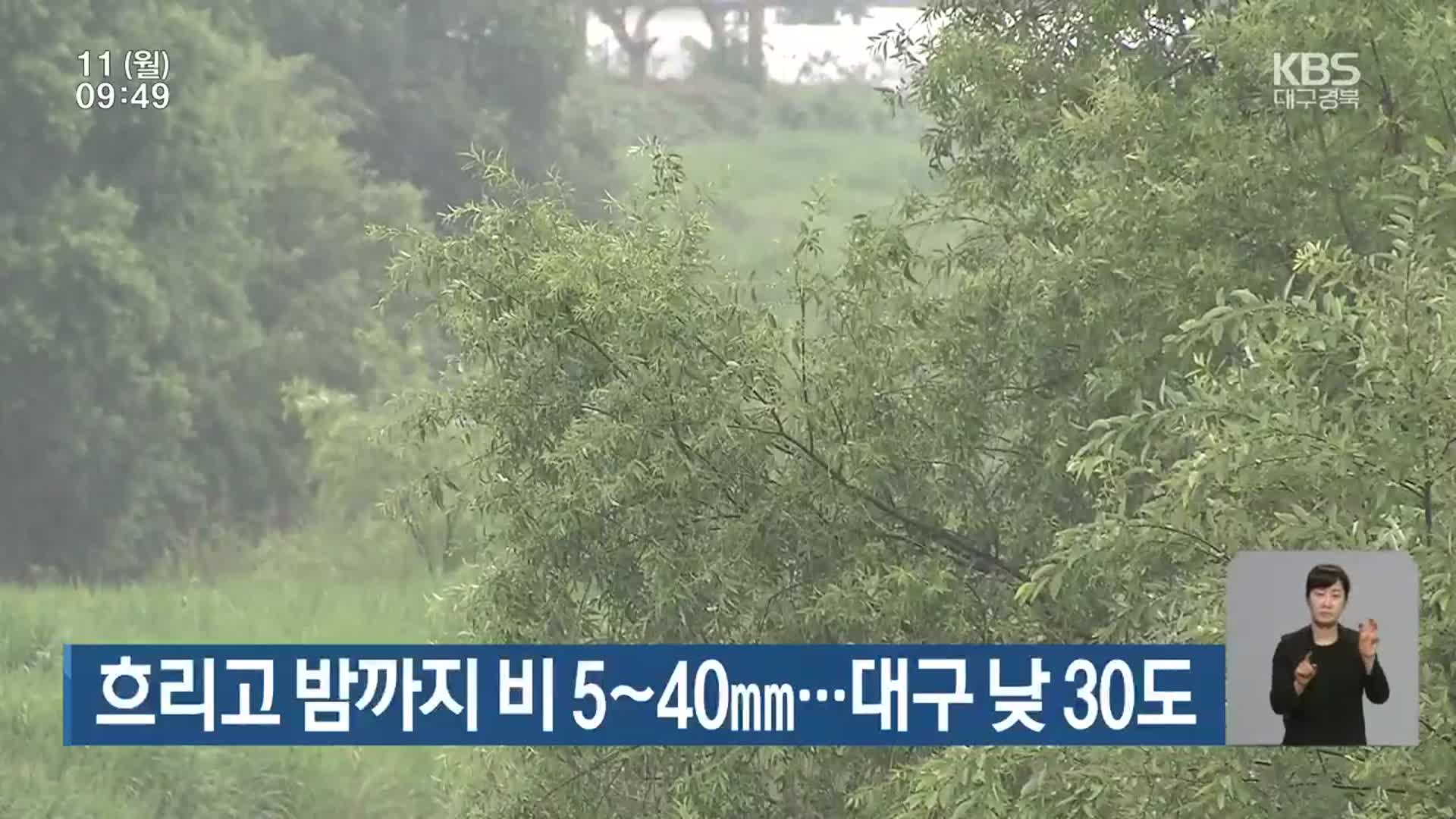 대구·경북 흐리고 밤까지 비 5~40mm…대구 낮 30도