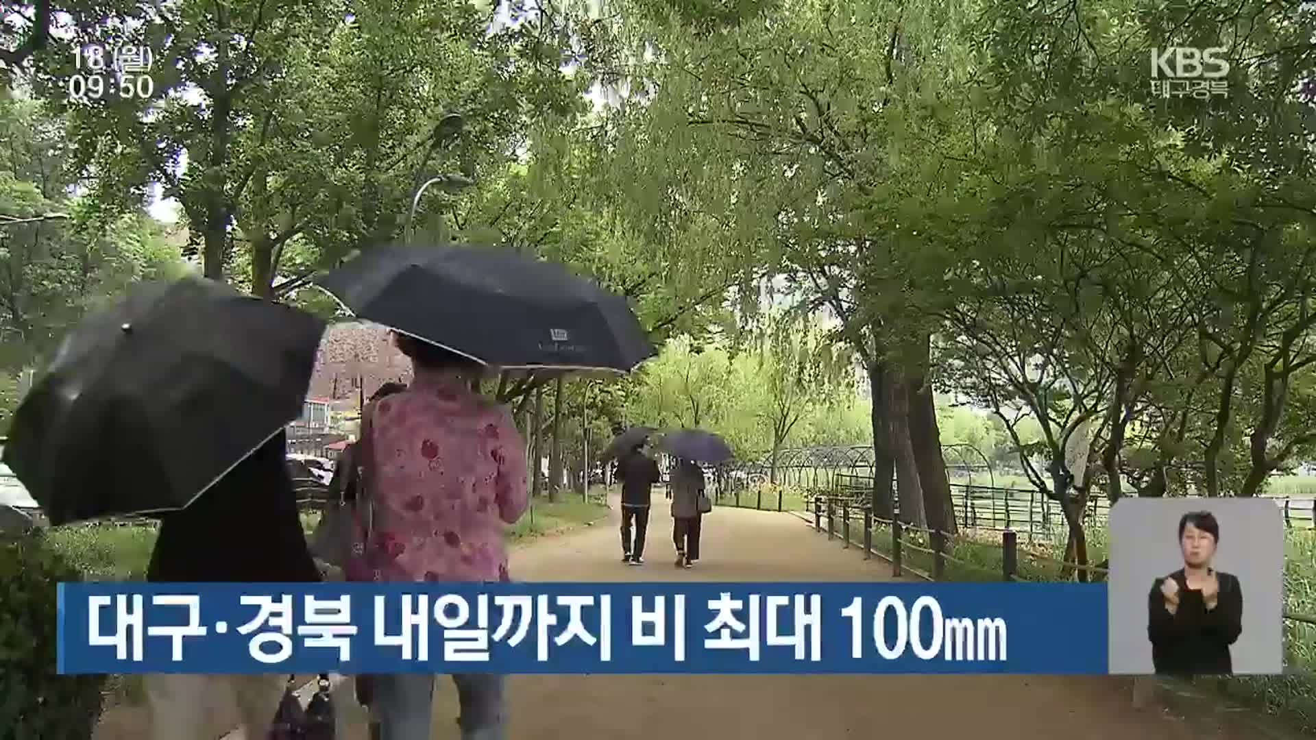 대구·경북 내일까지 비 최대 100mm