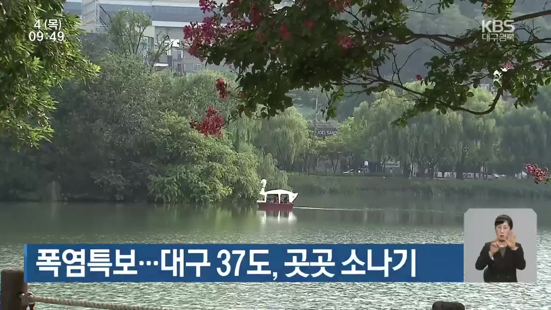 대구·경북 폭염특보…대구 37도, 곳곳 소나기
