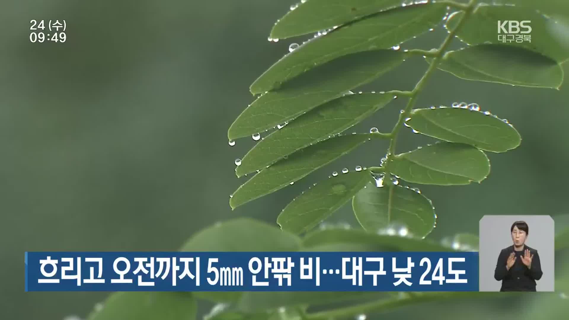 대구·경북 흐리고 오전까지 5mm 안팎 비…대구 낮 24도
