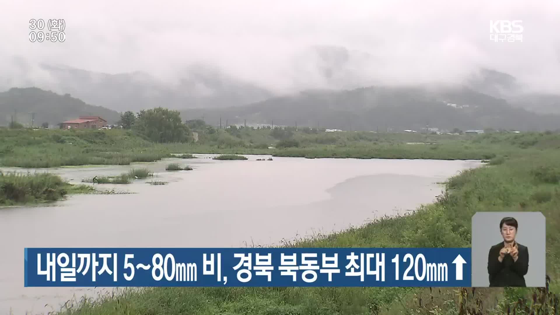 대구·경북 내일까지 5~80mm 비, 경북 북동부 최대 120mm ↑