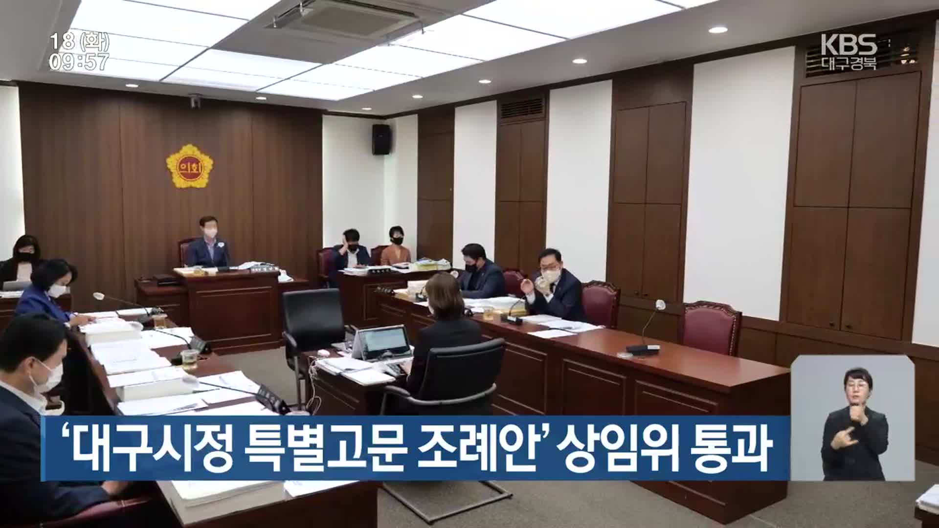 ‘대구시정 특별고문 조례안’ 상임위 통과