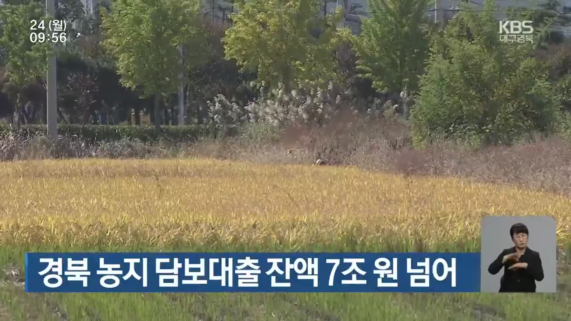 경북 농지 담보대출 잔액 7조 원 넘어