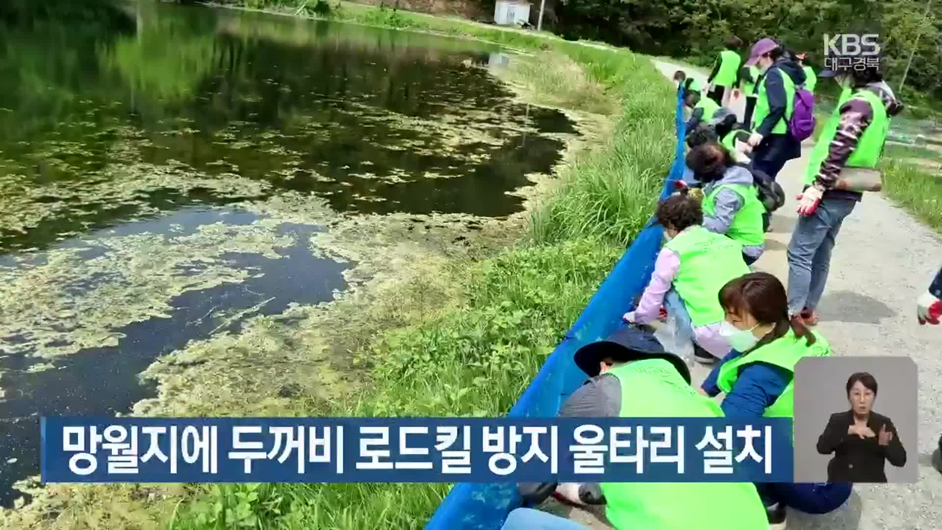 망월지에 두꺼비 로드킬 방지 울타리 설치