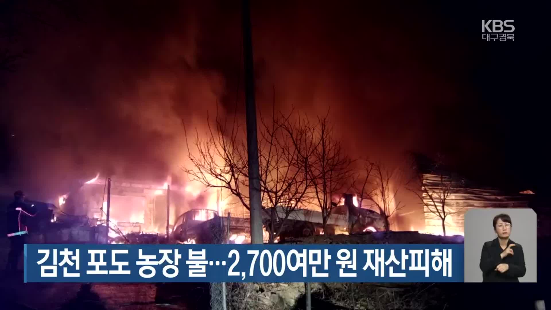 김천 포도 농장 불…2,700여만 원 재산피해