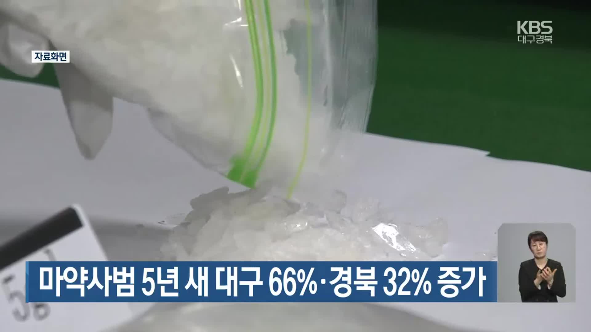 마약사범 5년 새 대구 66%·경북 32% 증가