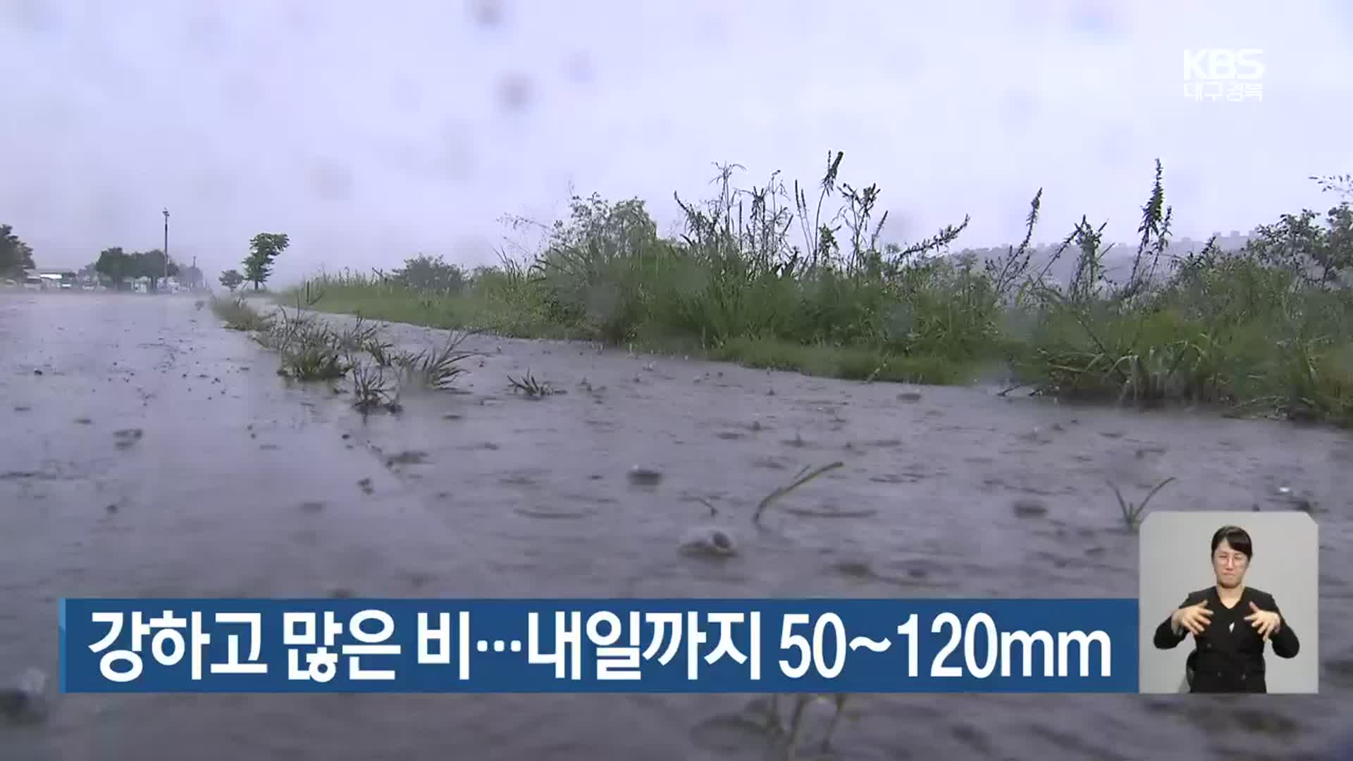 대구·경북 강하고 많은 비…내일까지 50~120mm 예상