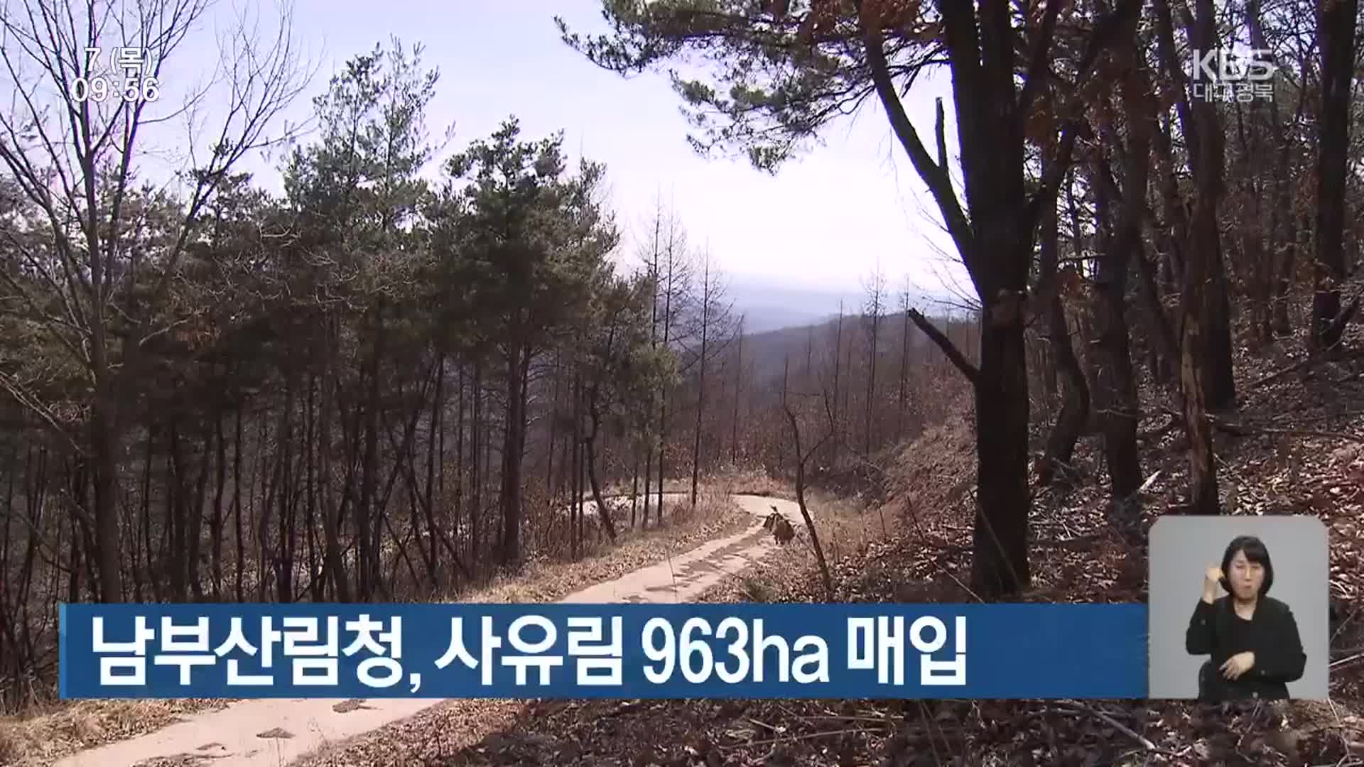 남부산림청, 사유림 963ha 매입