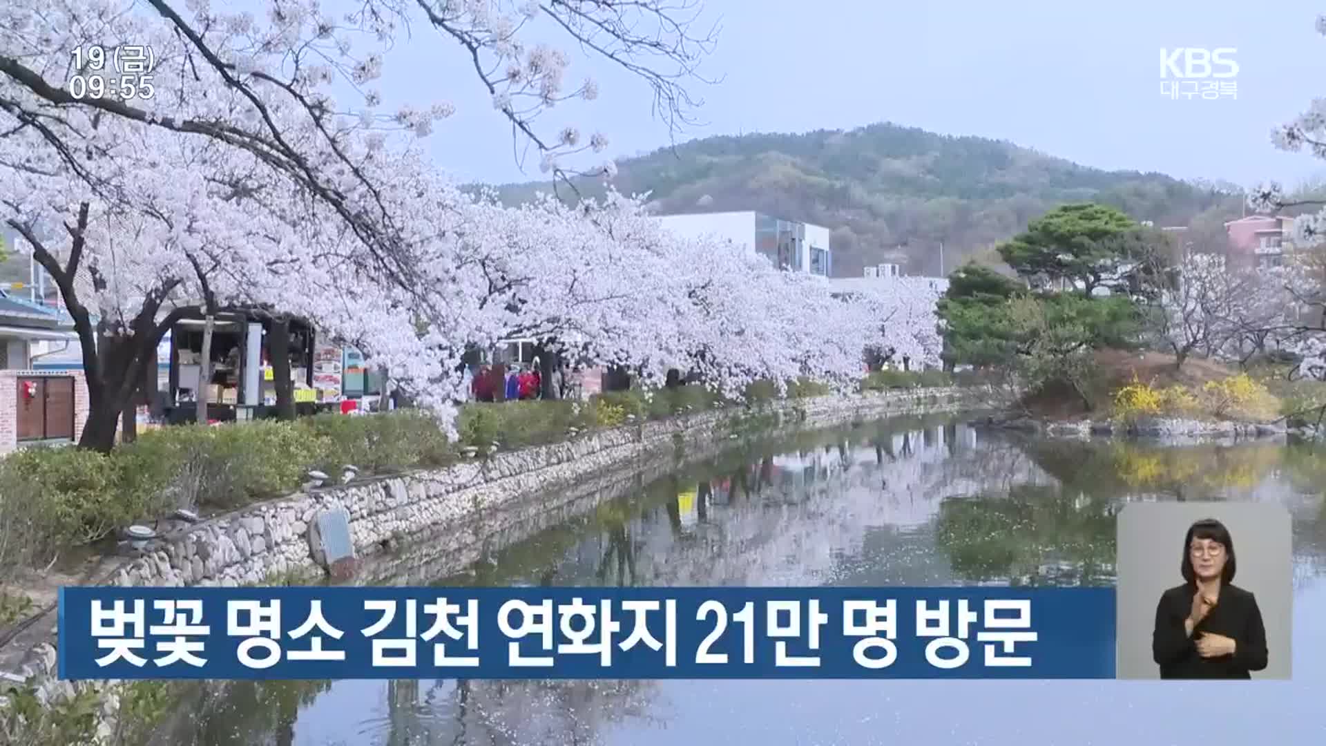 벚꽃 명소 김천 연화지 21만 명 방문