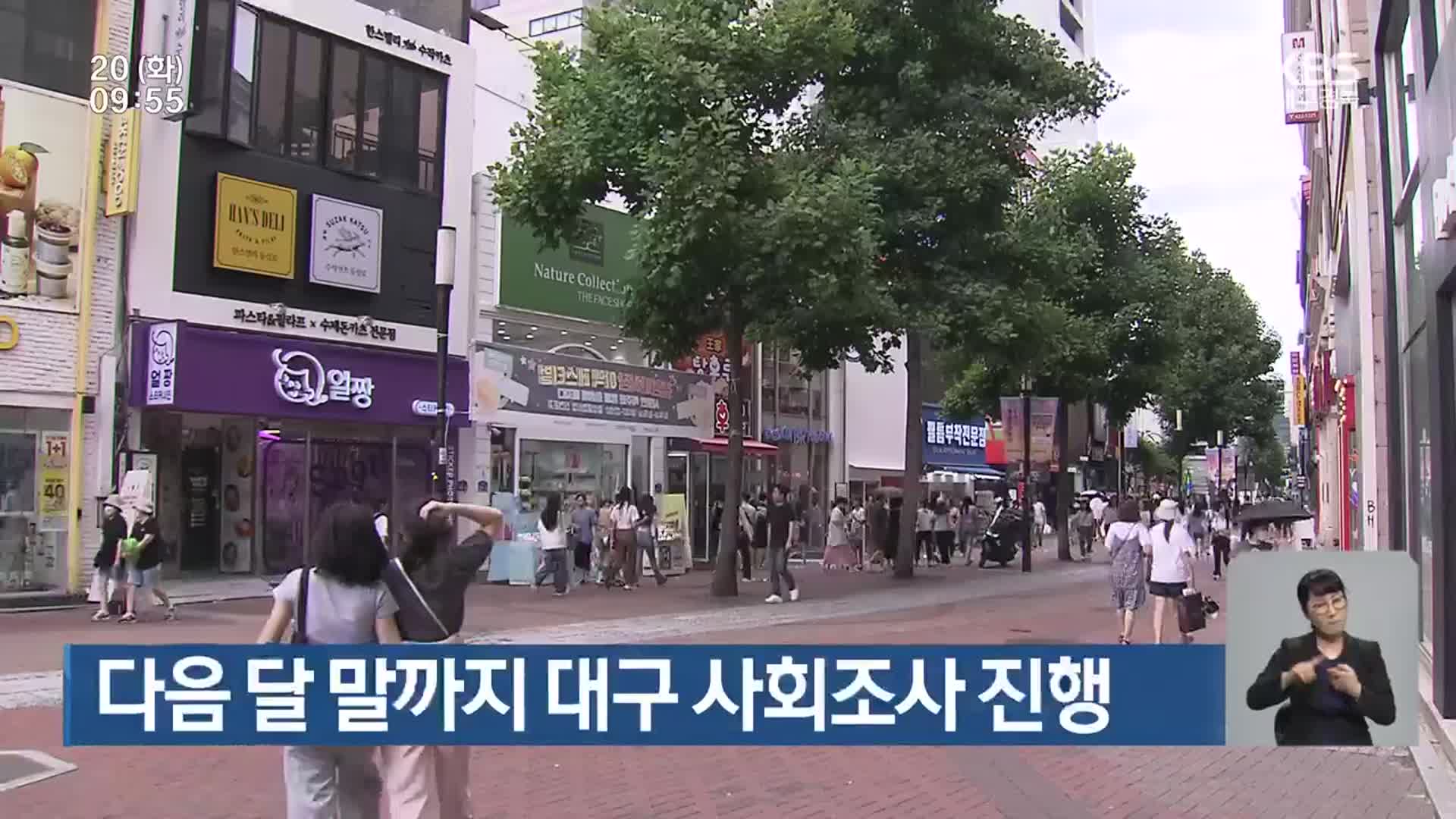 다음 달 말까지 대구 사회조사 진행