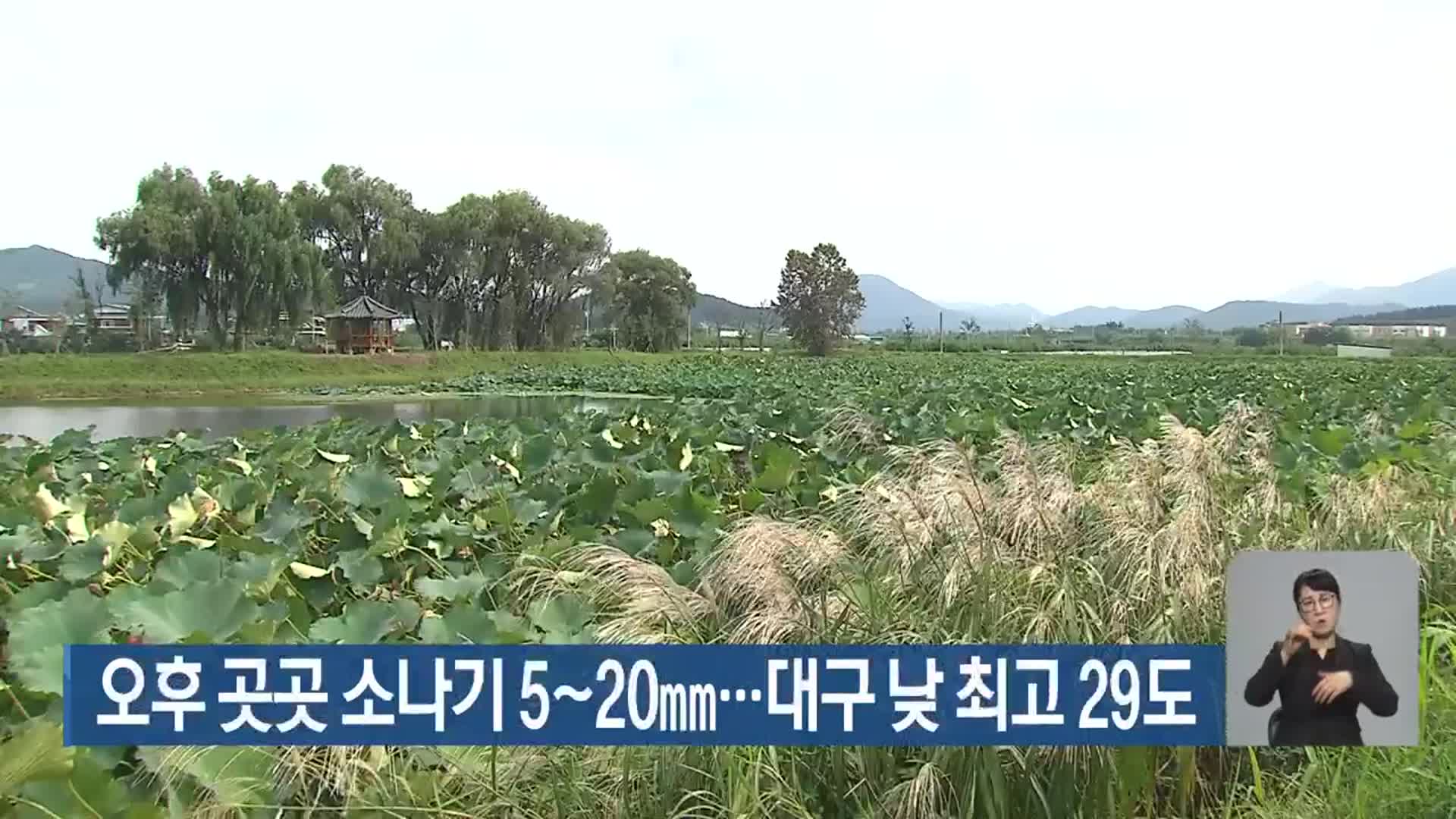 대구·경북 오후 곳곳 소나기 5~20mm…대구 낮 최고 29도