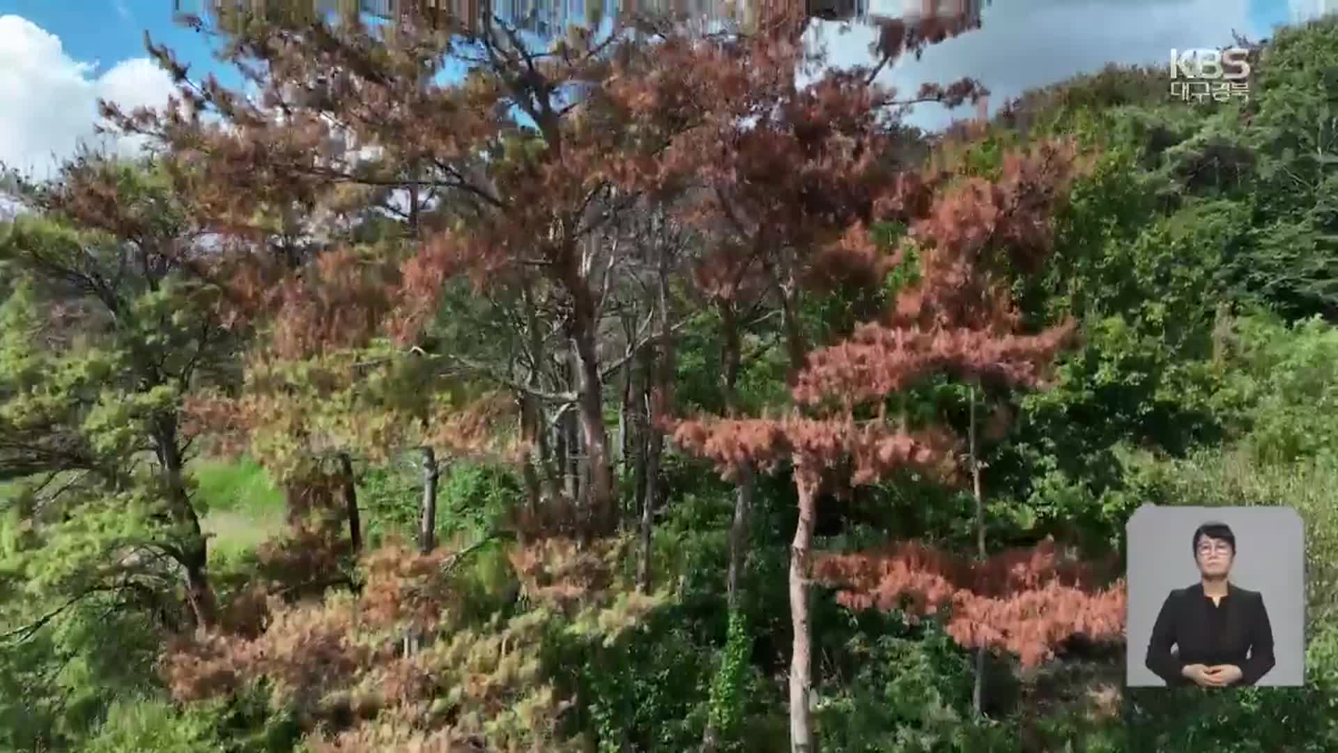 확산 속도 못따라가는 방제 작업…“예산·인력 확대해야”