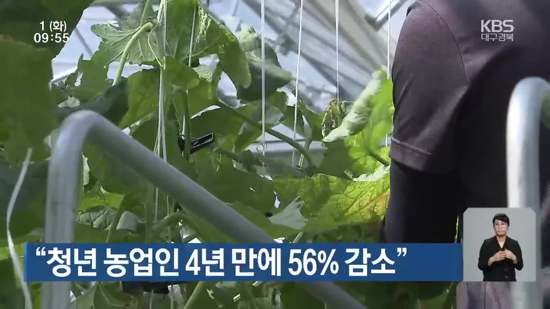 “청년 농업인 4년 만에 56% 감소”