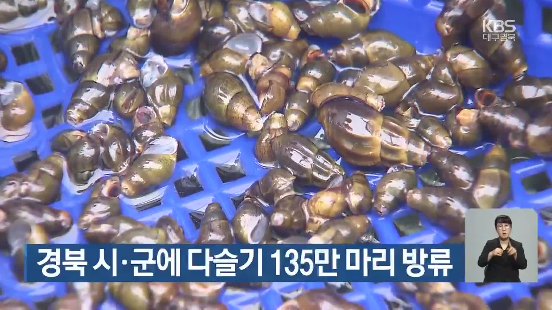 경북 시·군에 다슬기 135만 마리 방류