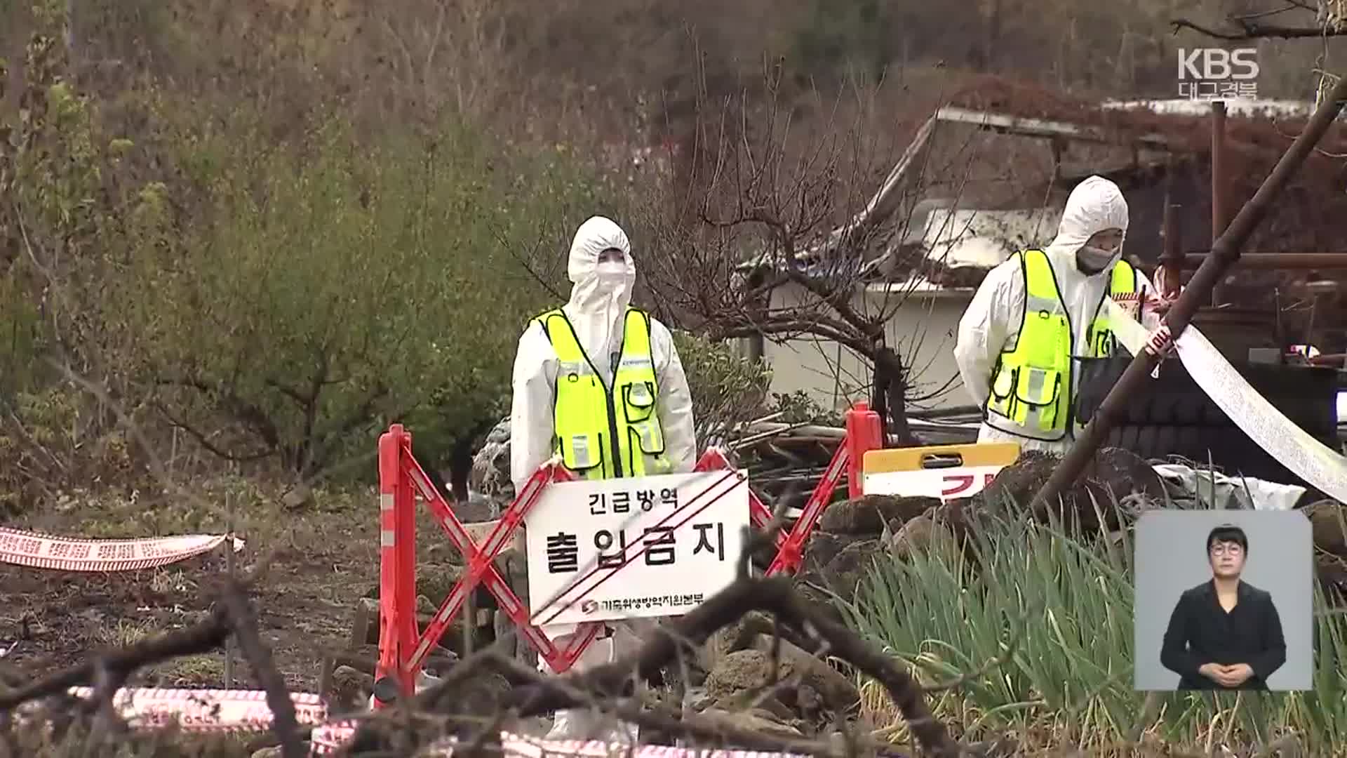 대구, 두 번째 럼피스킨 “12월 초까지 확산 우려”