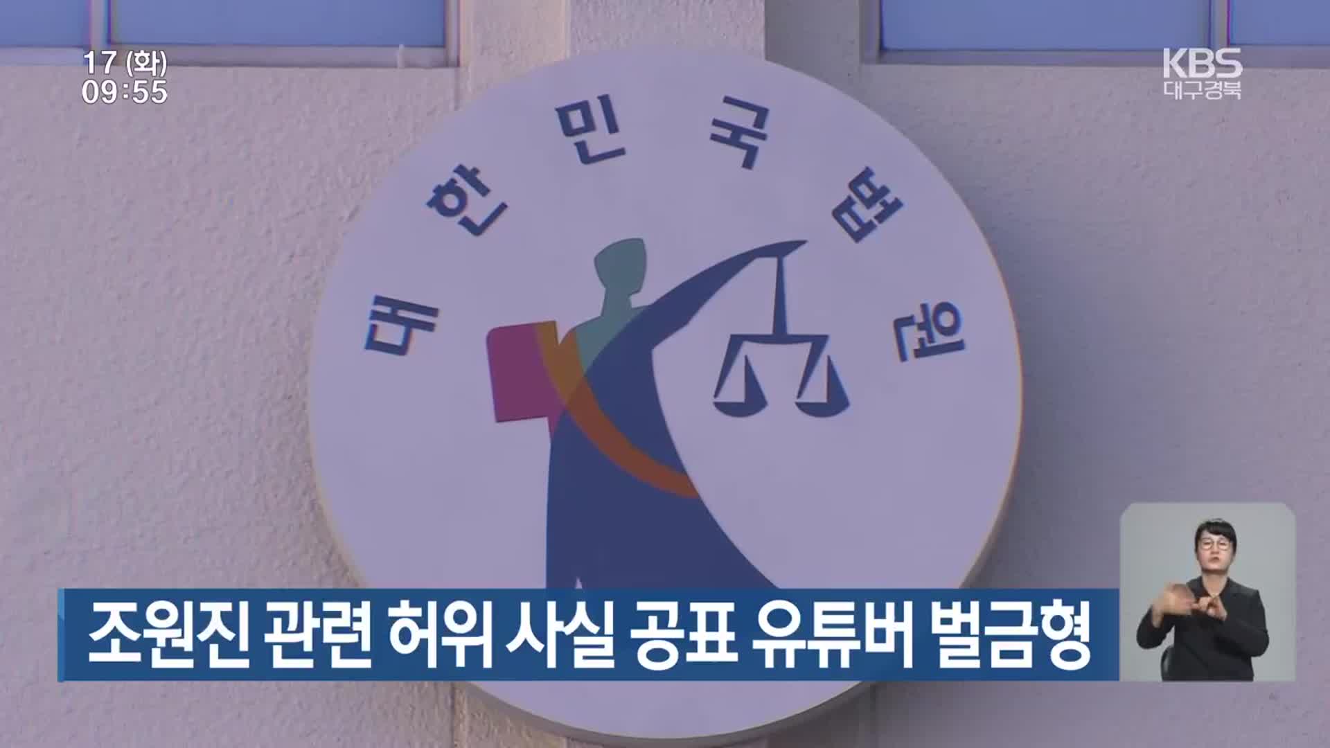 조원진 관련 허위 사실 공표 유튜버 벌금형
