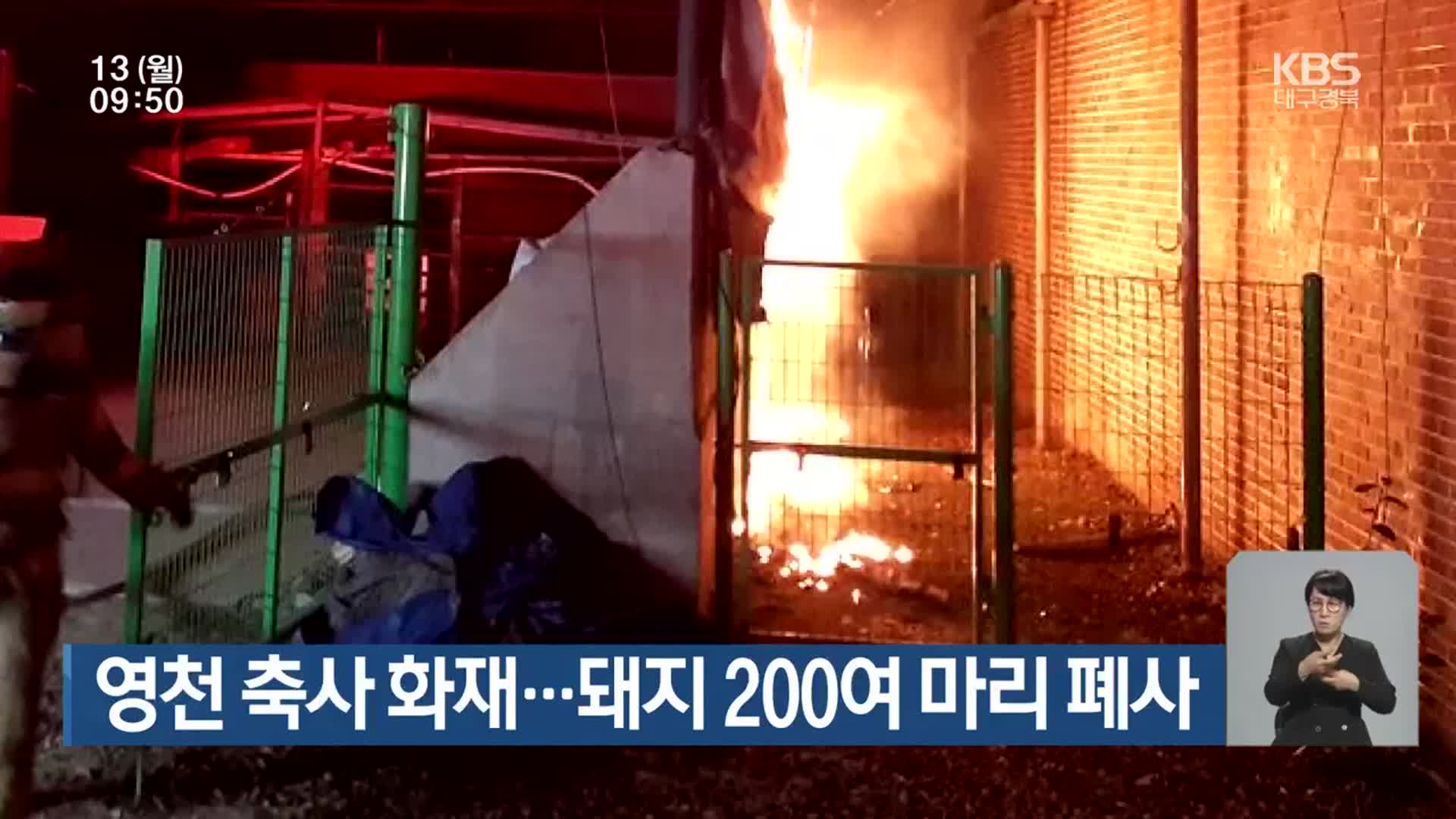 영천 축사 화재…돼지 200여 마리 폐사