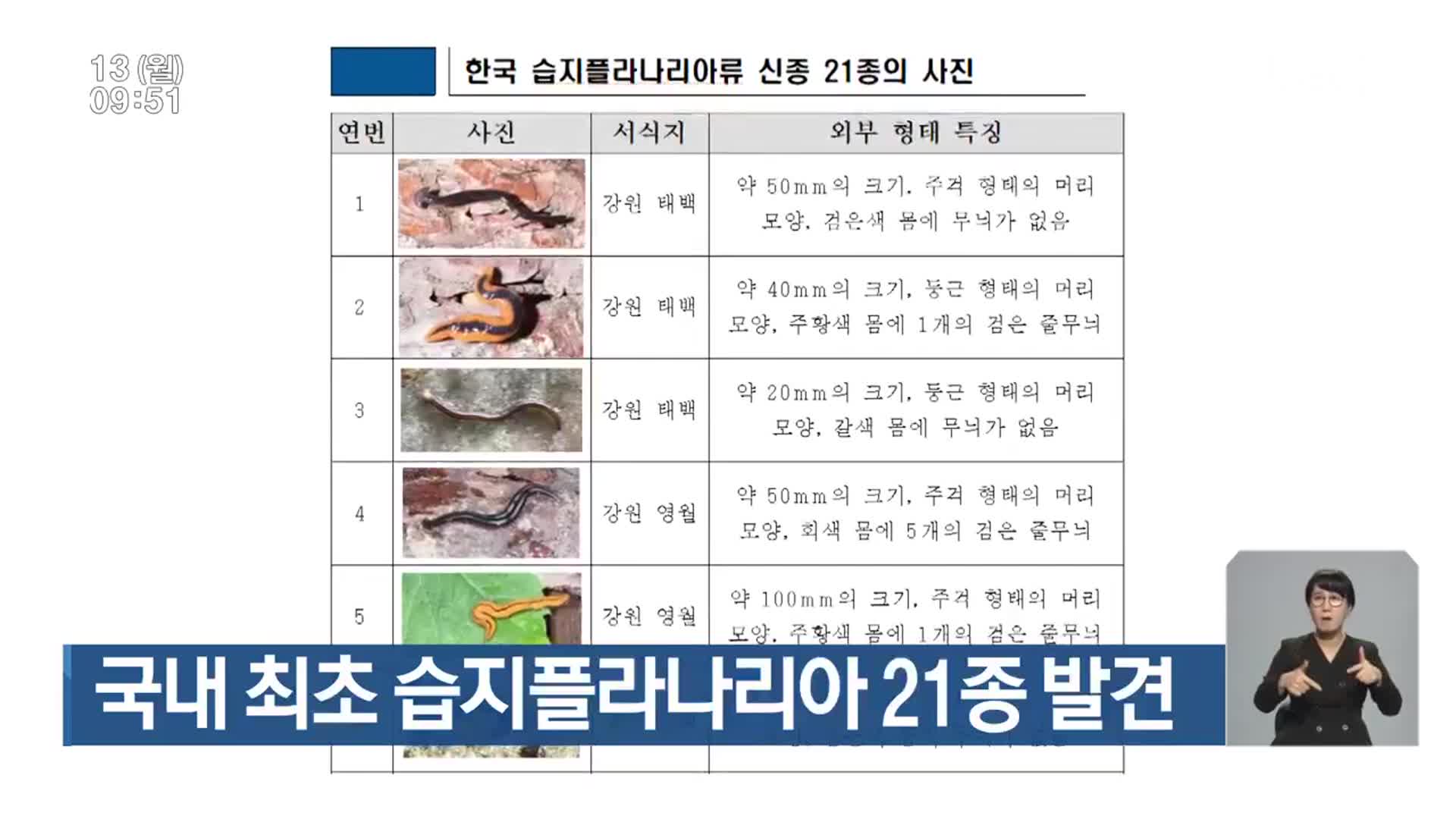 국내 최초 습지플라나리아 21종 발견