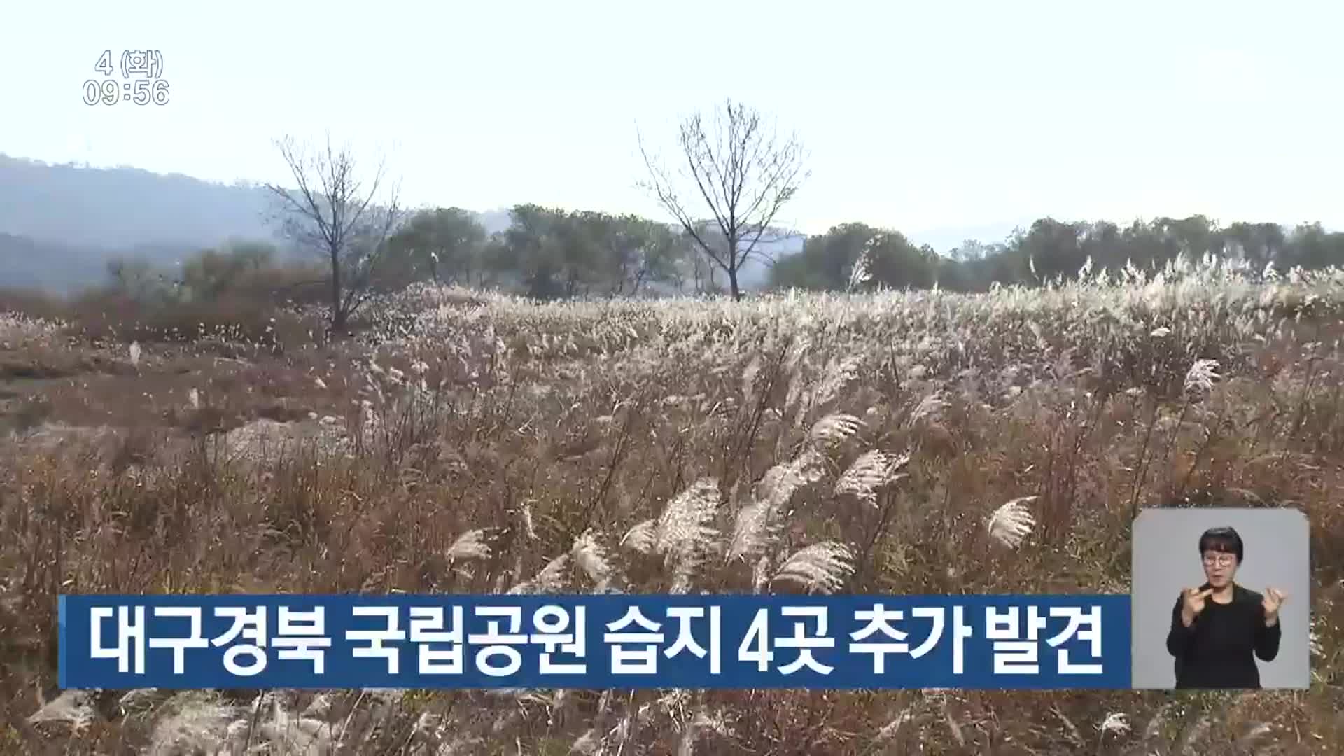 대구·경북 국립공원 습지 4곳 추가 발견