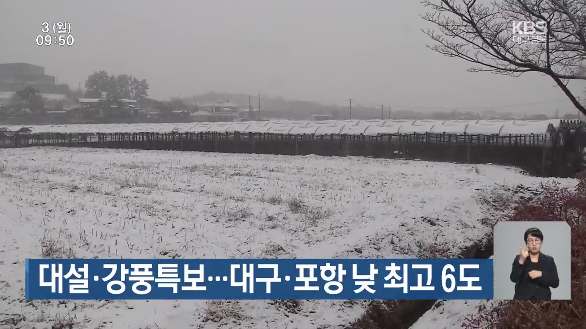 대구·경북 대설·강풍특보…대구·포항 낮 최고 6도