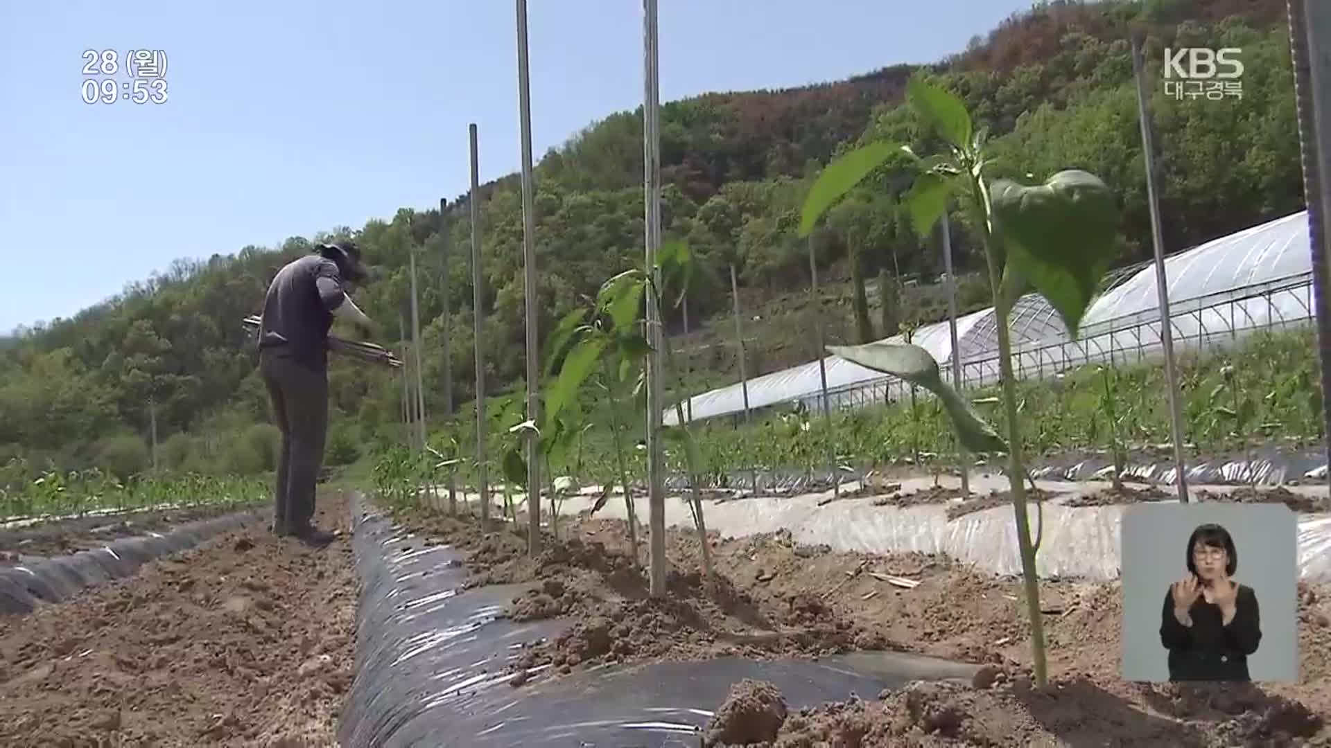‘화마 딛고 피우는 생명’…산불 피해 경북의 영농철