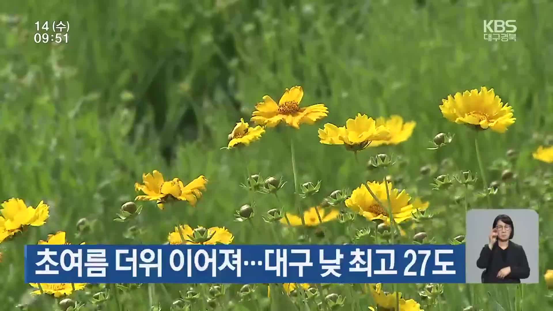 대구·경북 초여름 더위 이어져…대구 낮 최고 27도