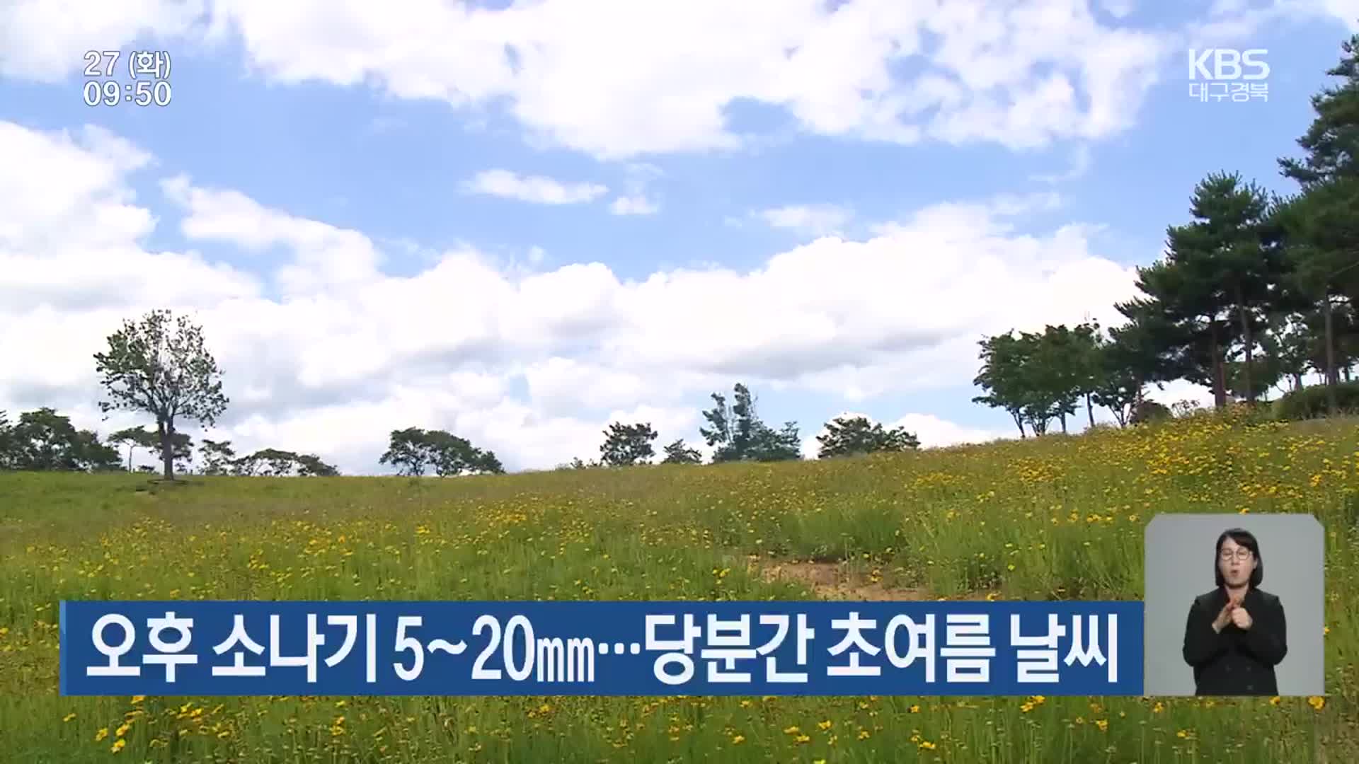 대구·경북 오후 소나기 5~20mm…당분간 초여름 날씨
