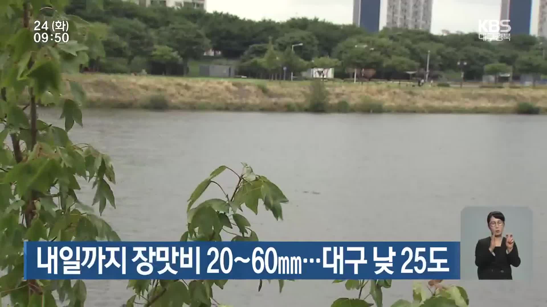 대구·경북 내일까지 장맛비 20~60mm…대구 낮 25도