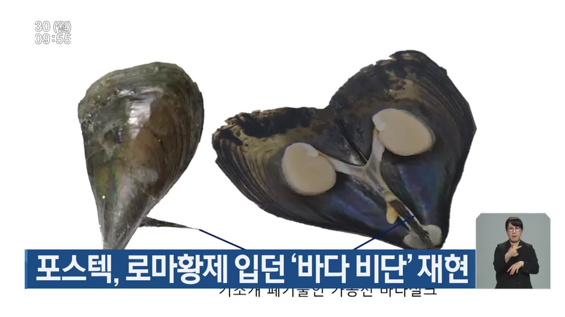 포스텍, 로마황제 입던 ‘바다 비단’ 재현