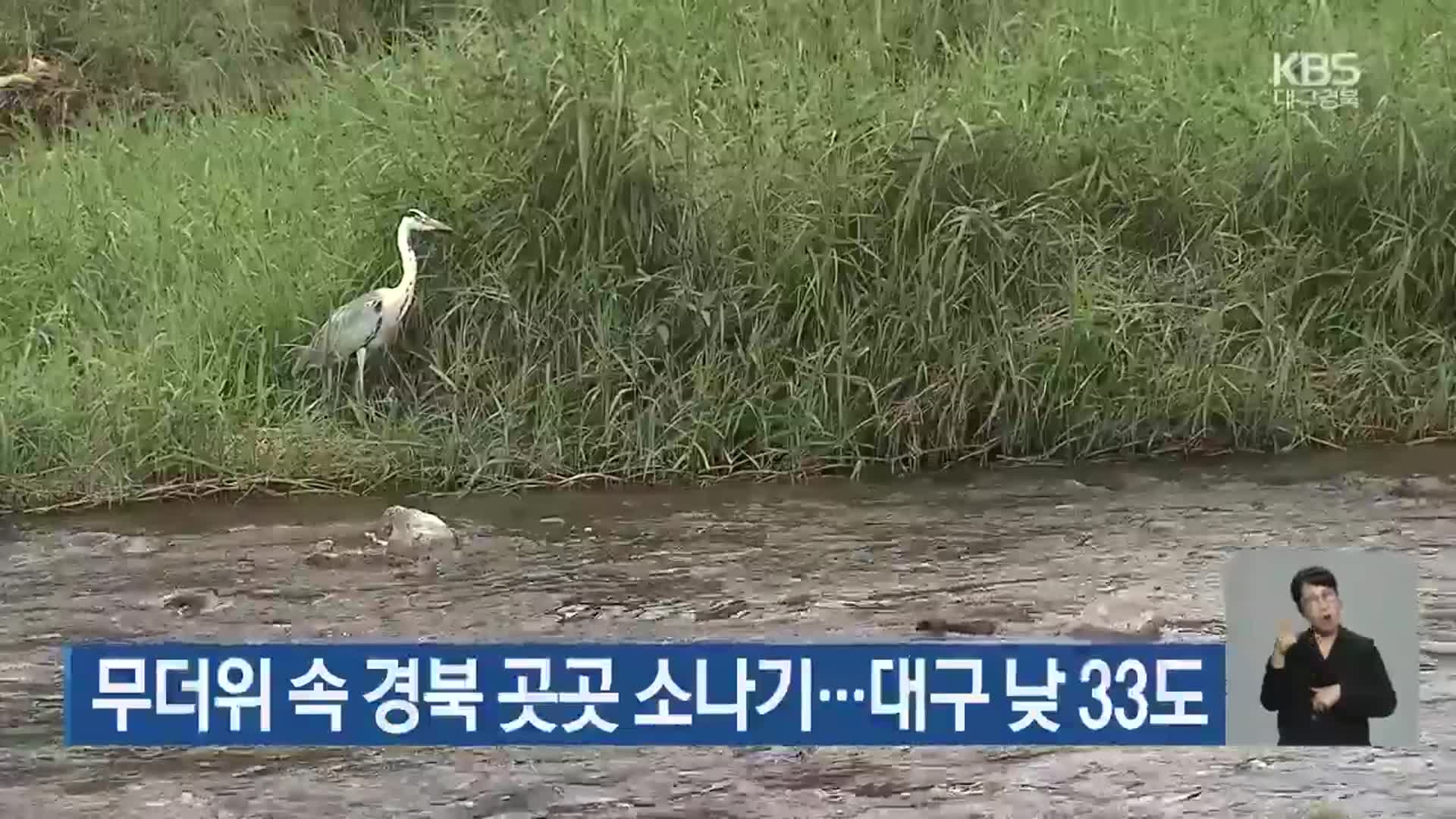 무더위 속 경북 곳곳 소나기…대구 낮 33도