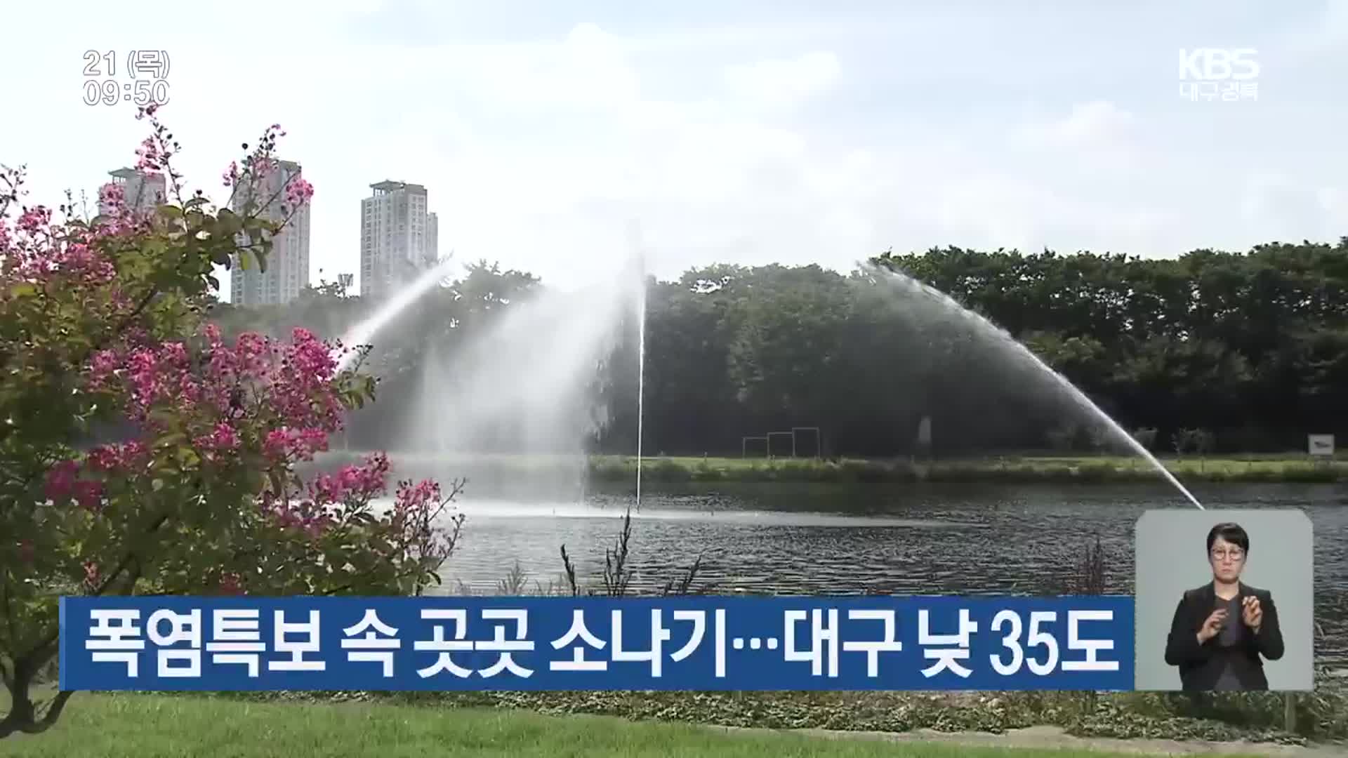 대구·경북 폭염특보 속 곳곳 소나기…대구 낮 35도