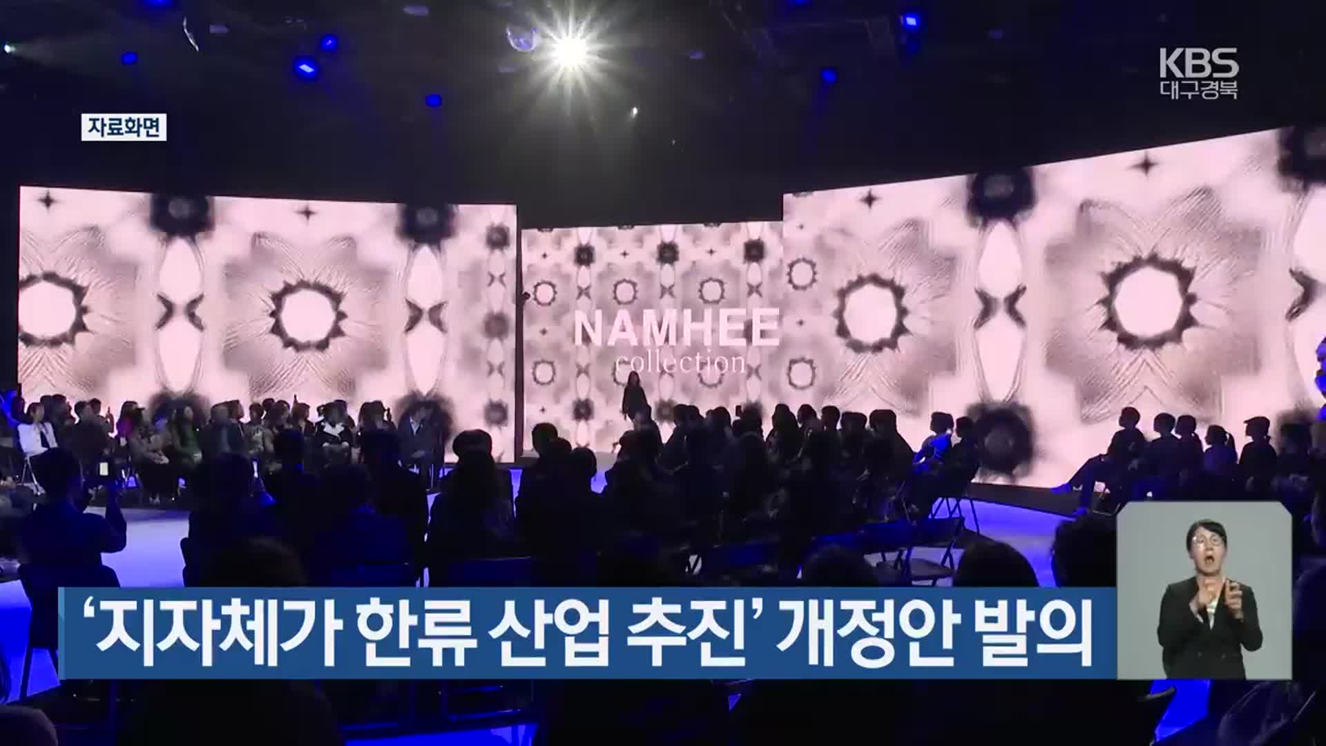 ‘지자체가 한류 산업 추진’ 개정안 발의