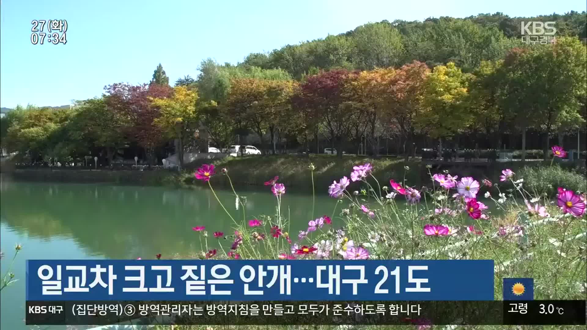 일교차 크고 짙은 안개…대구 21도