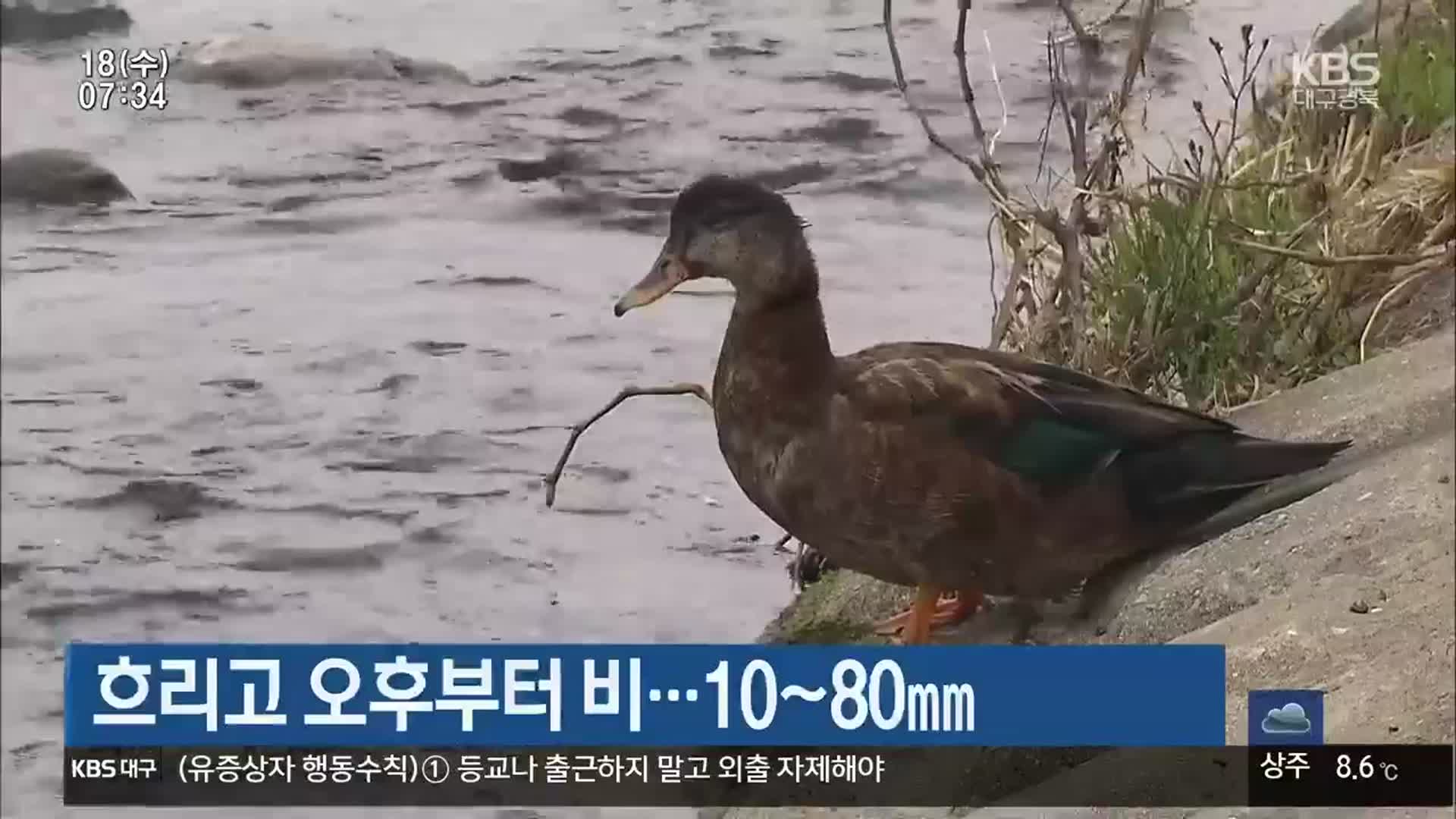 대구·경북 흐리고 오후부터 비…10~80mm