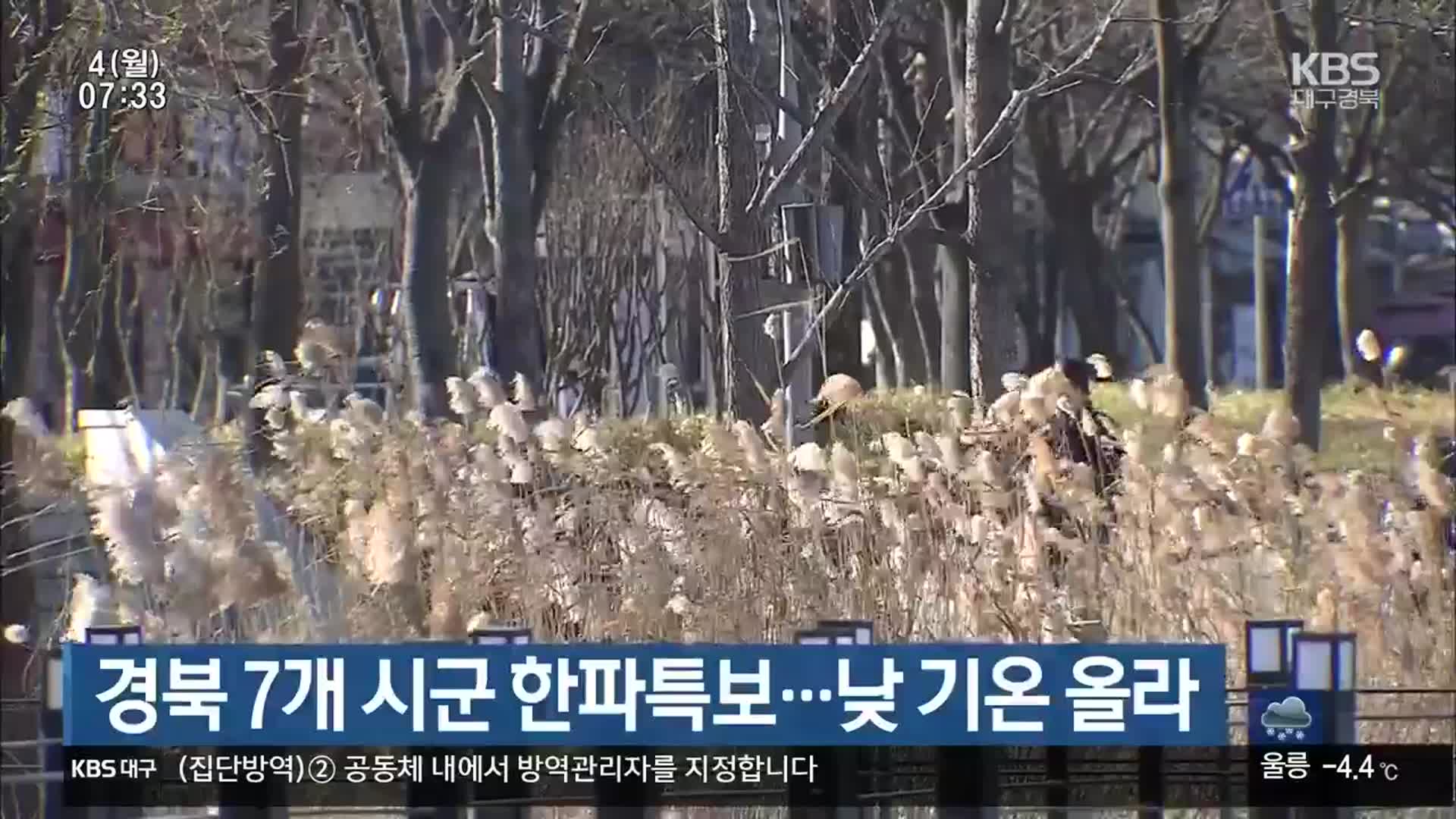 경북 7개 시군 한파특보…낮 기온 올라