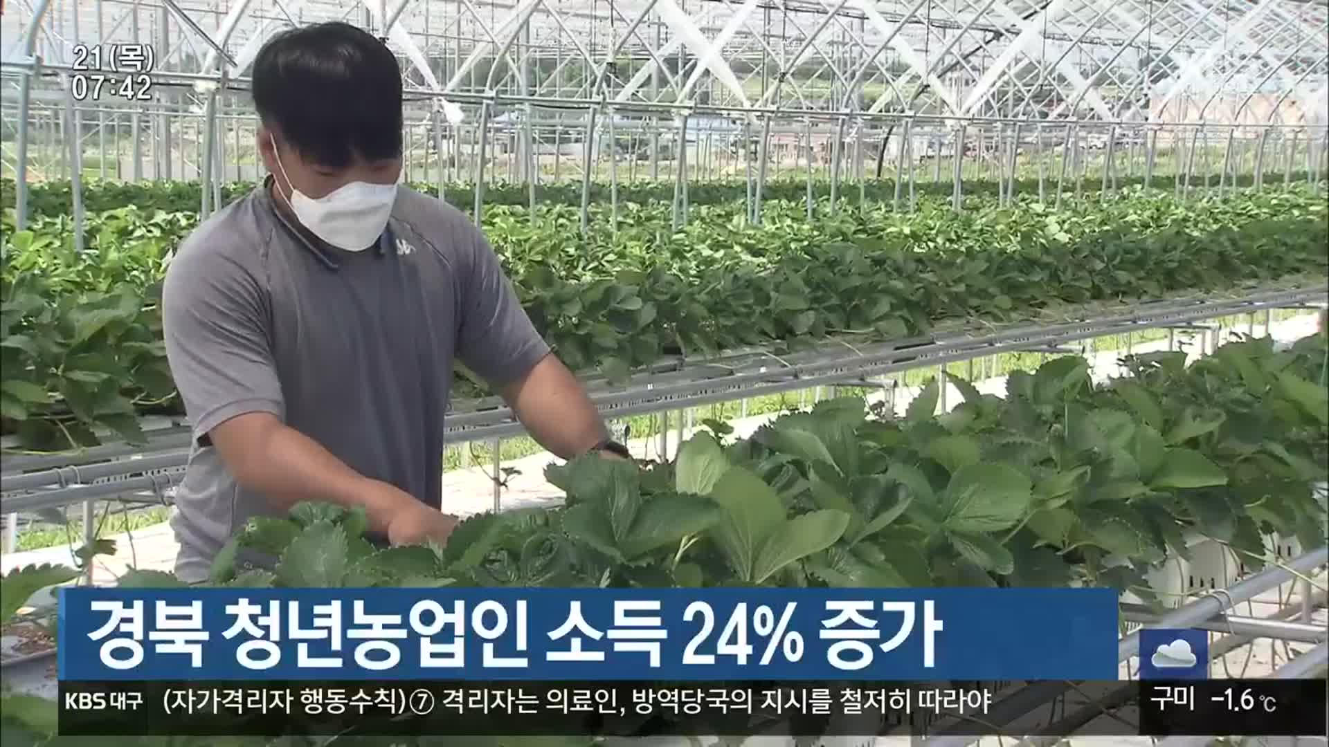 경북 청년농업인 소득 24% 증가