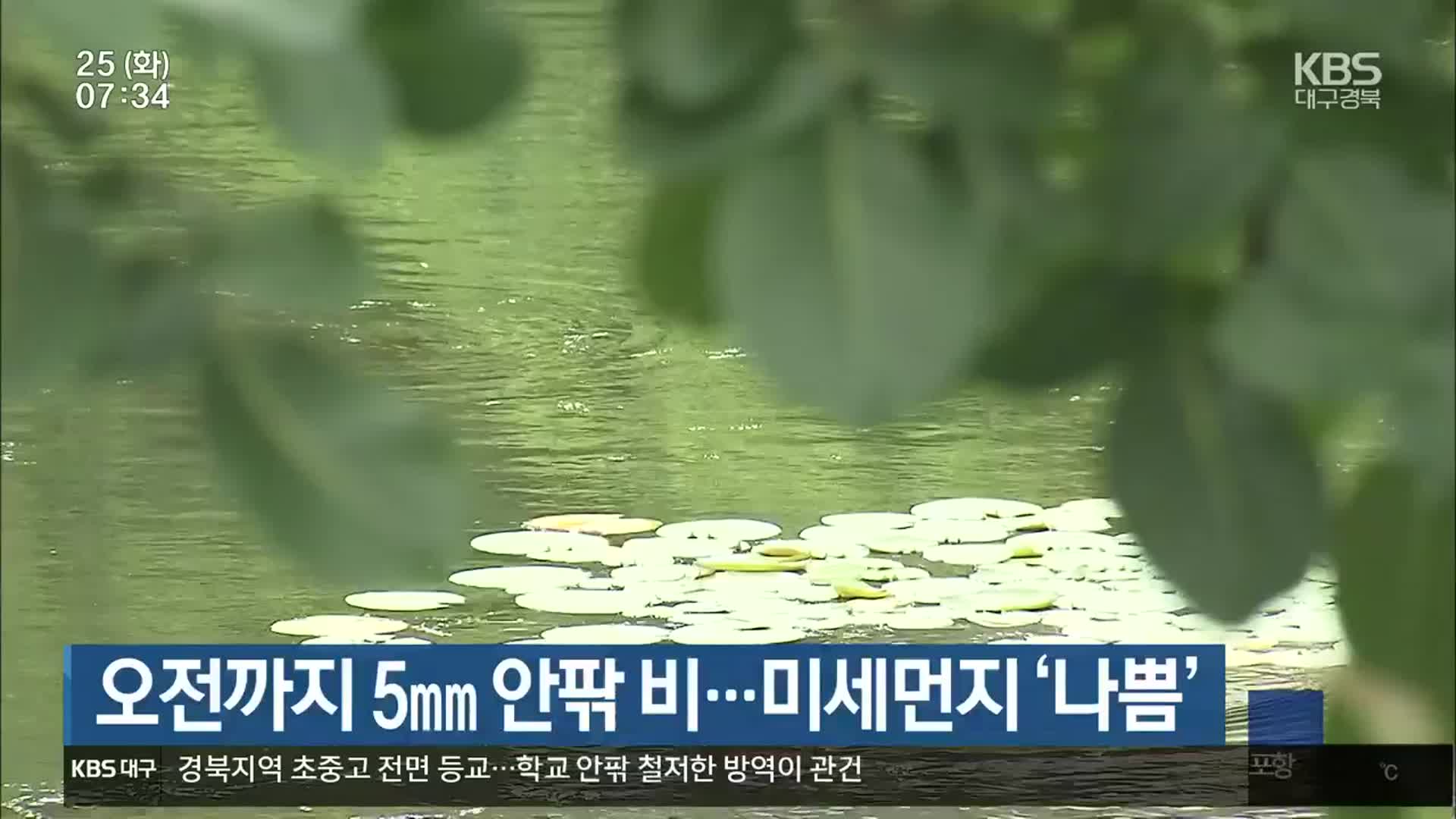 대구·경북 오전까지 5mm 안팎 비…미세먼지 ‘나쁨’