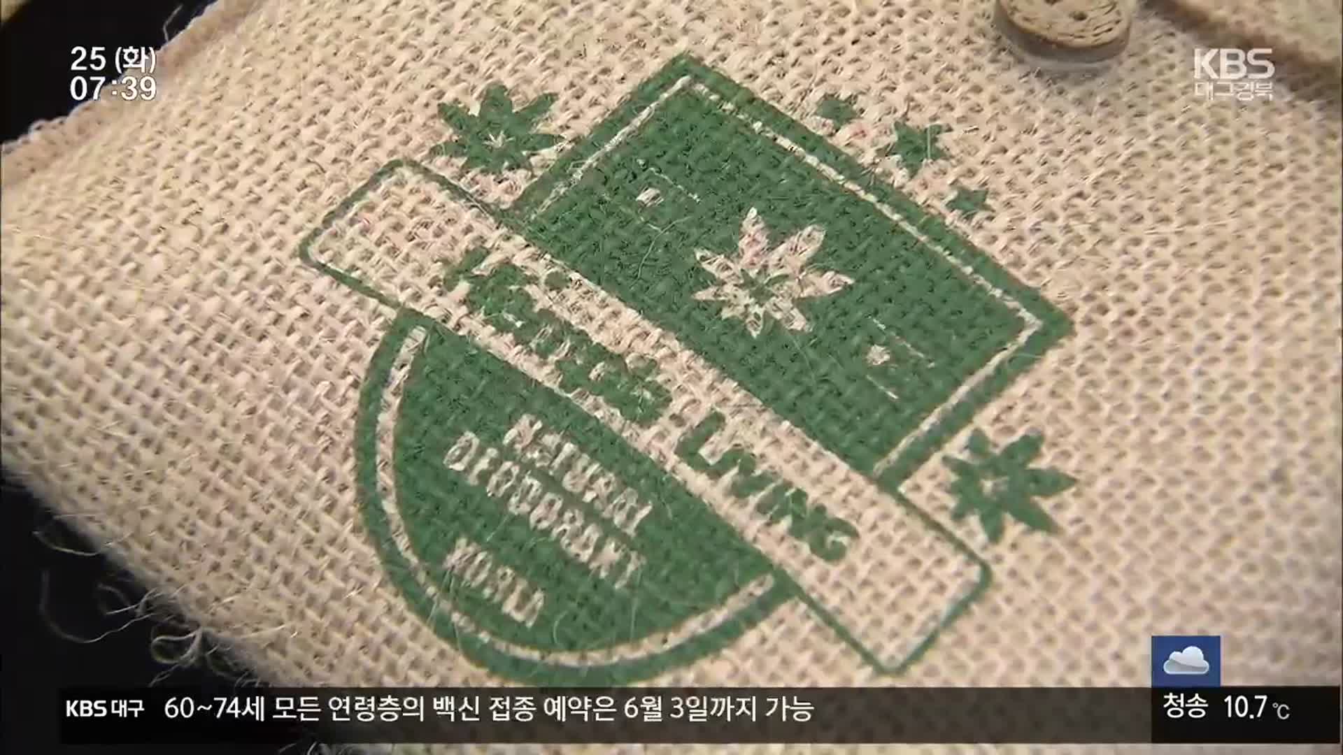 대마 가공산업 활발…재배면적도 급증