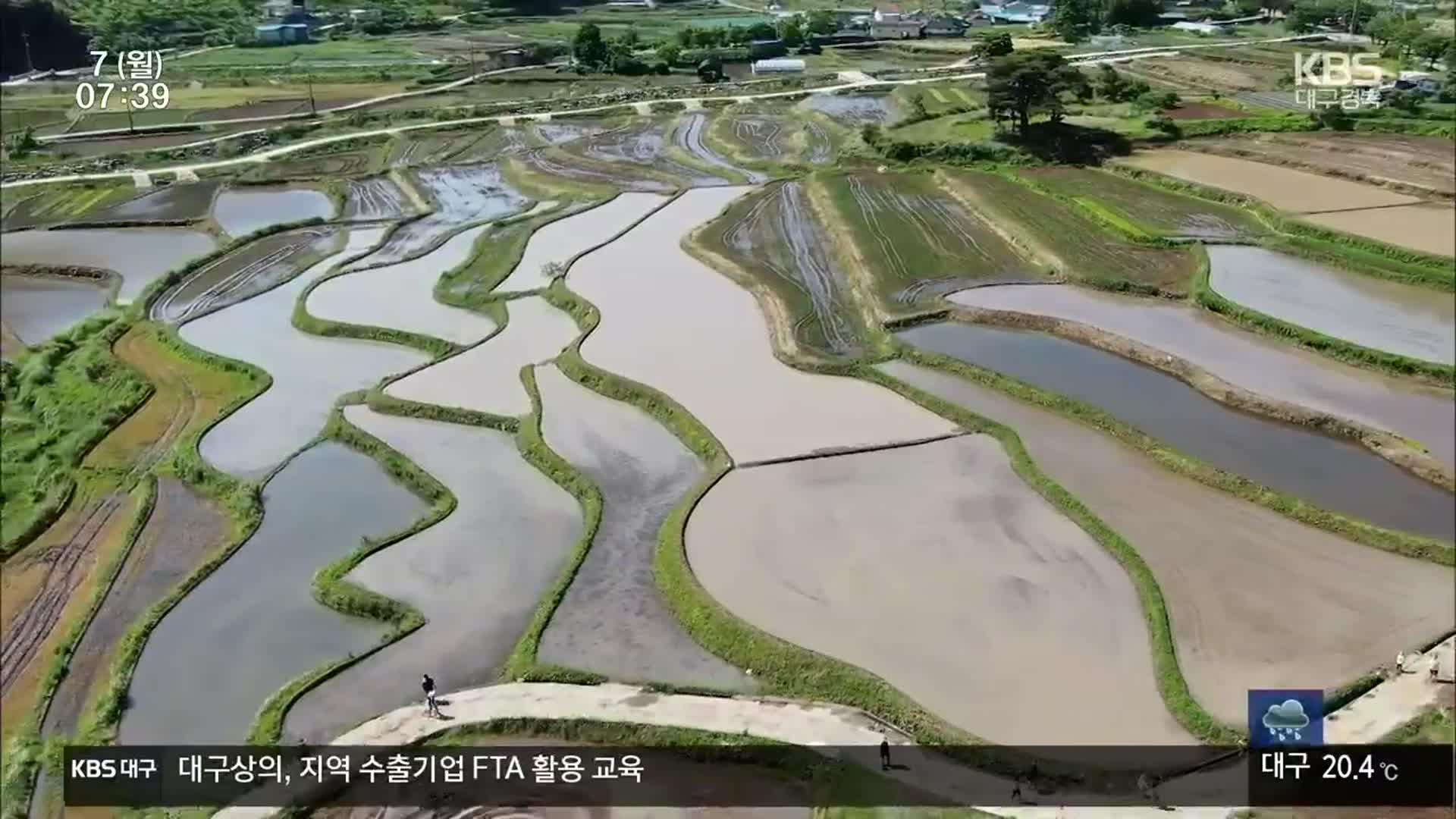 전통 깃든 다랑논, 보전 나선다!