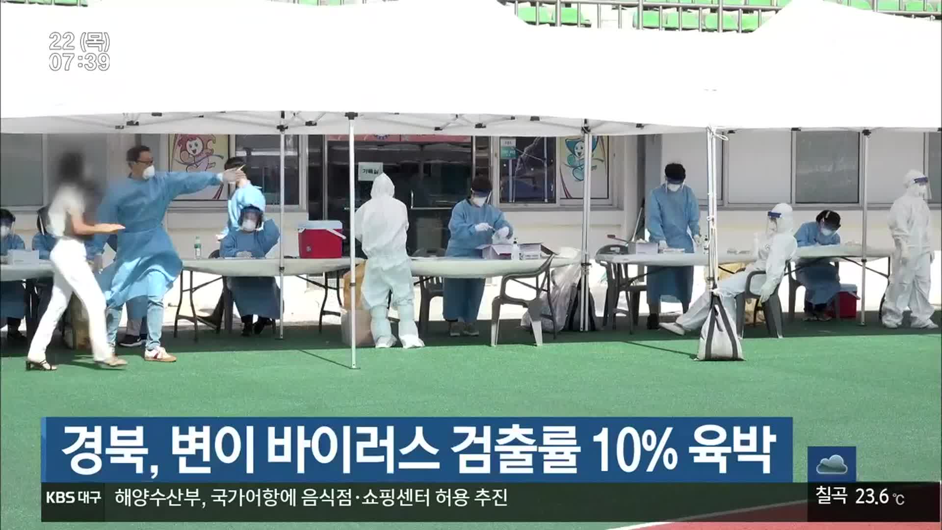 경북, 변이 바이러스 검출률 10% 육박
