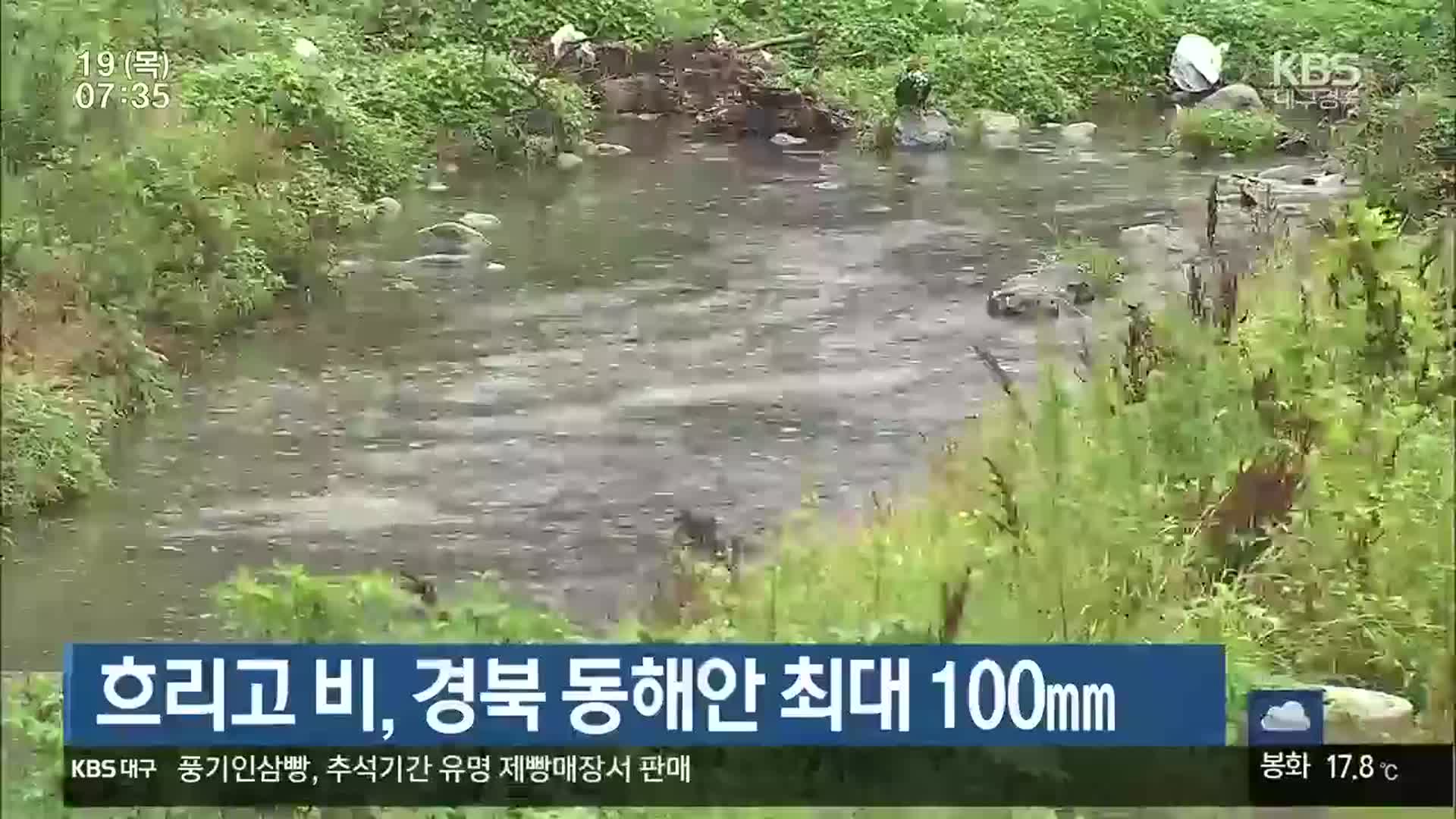 흐리고 비, 경북 동해안 최대 100mm