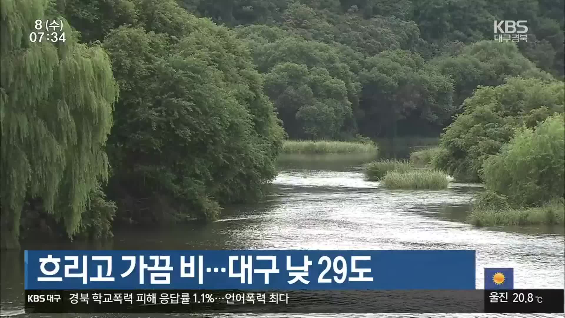 흐리고 가끔 비…대구 낮 29도