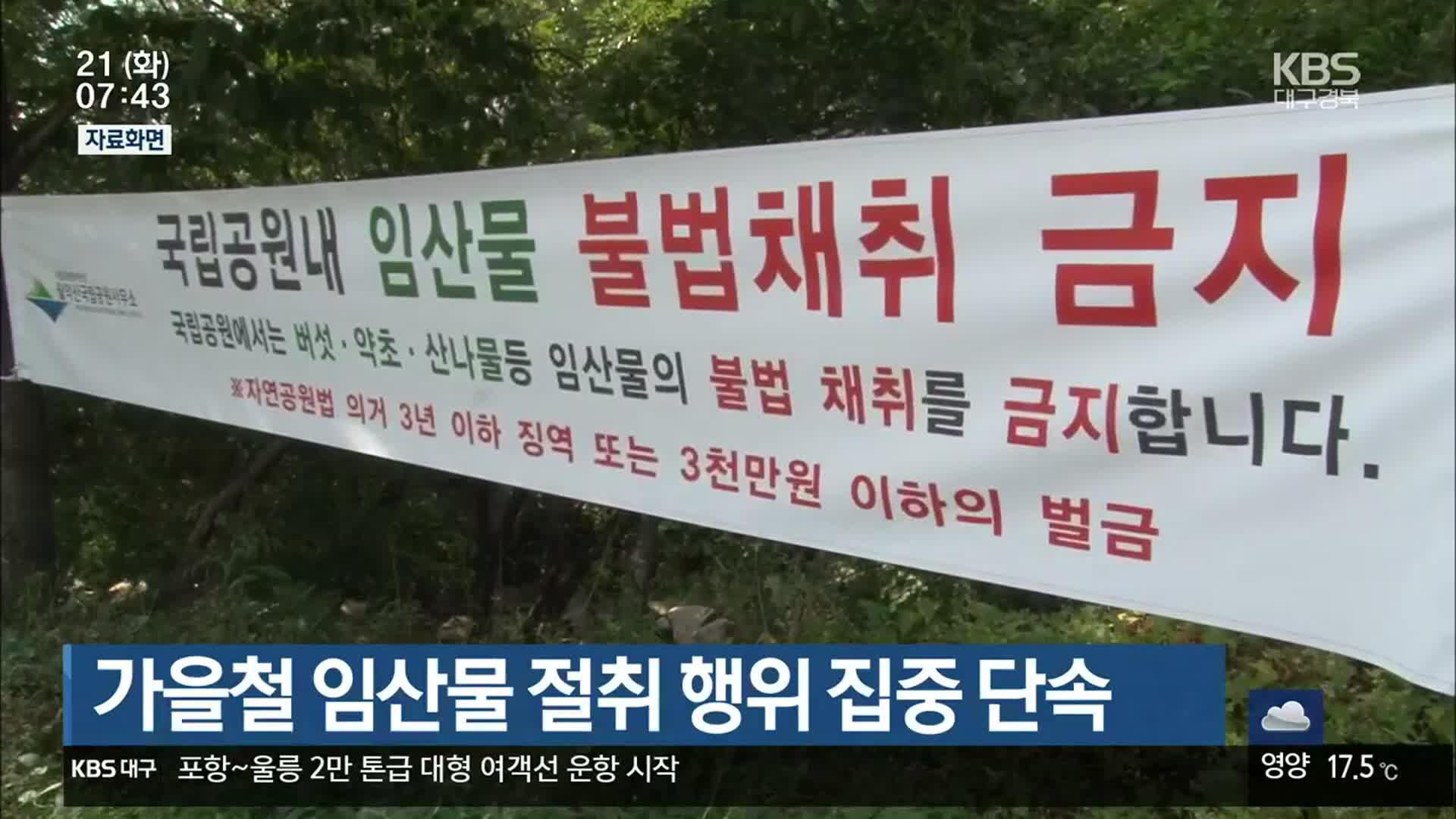 가을철 임산물 절취 행위 집중 단속