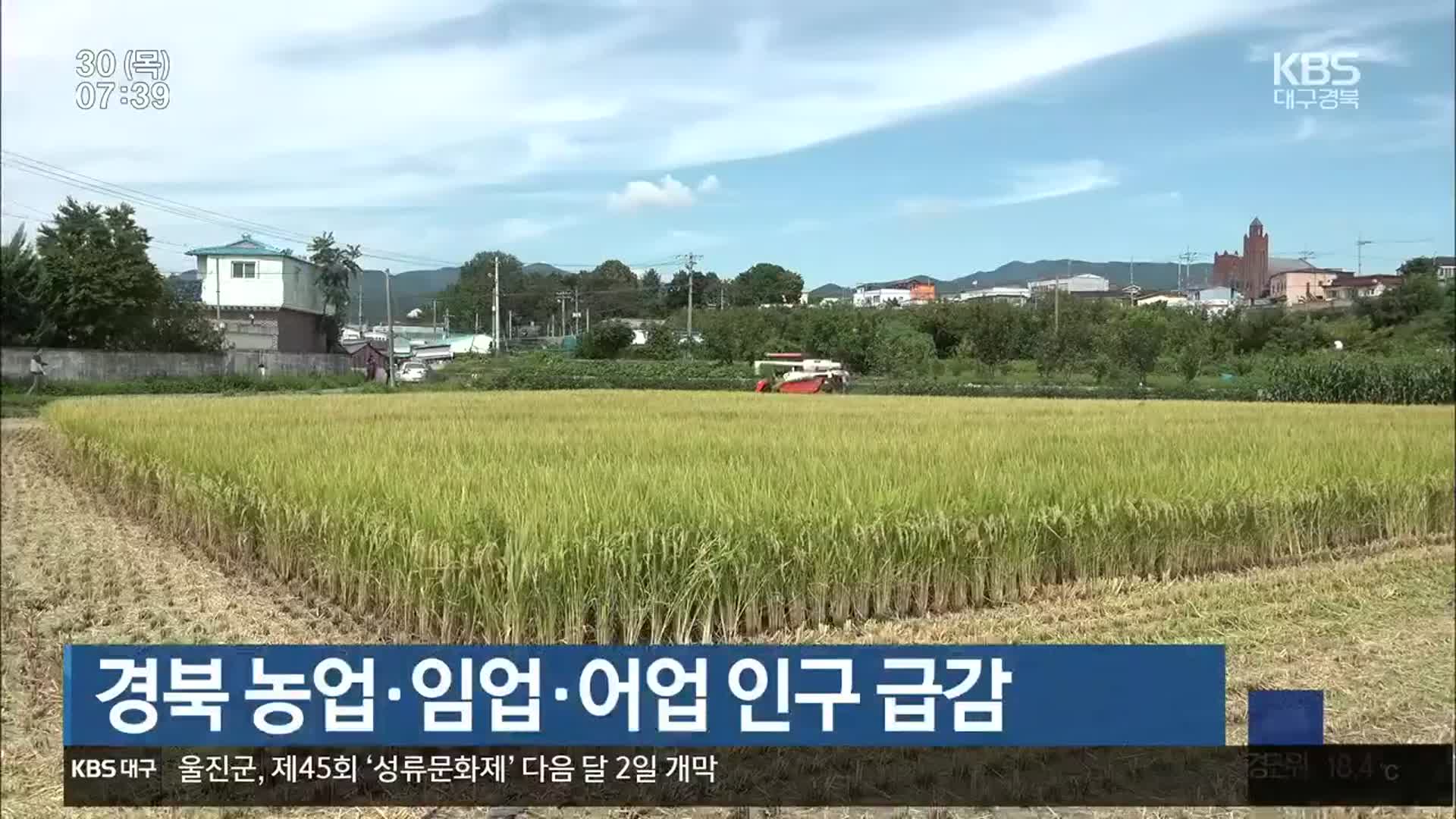 경북 농업·임업·어업 인구 급감