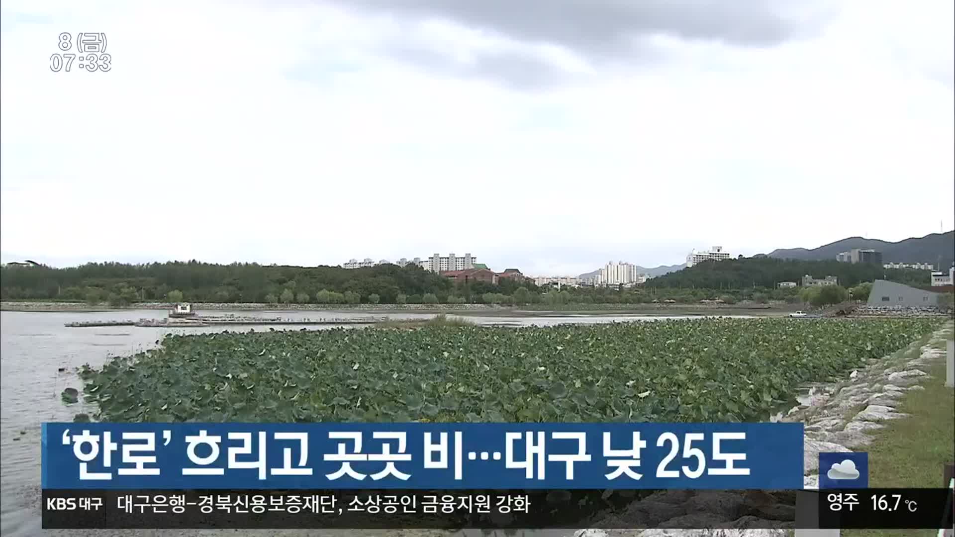 대구·경북 ‘한로’ 흐리고 곳곳 비…대구 낮 25도